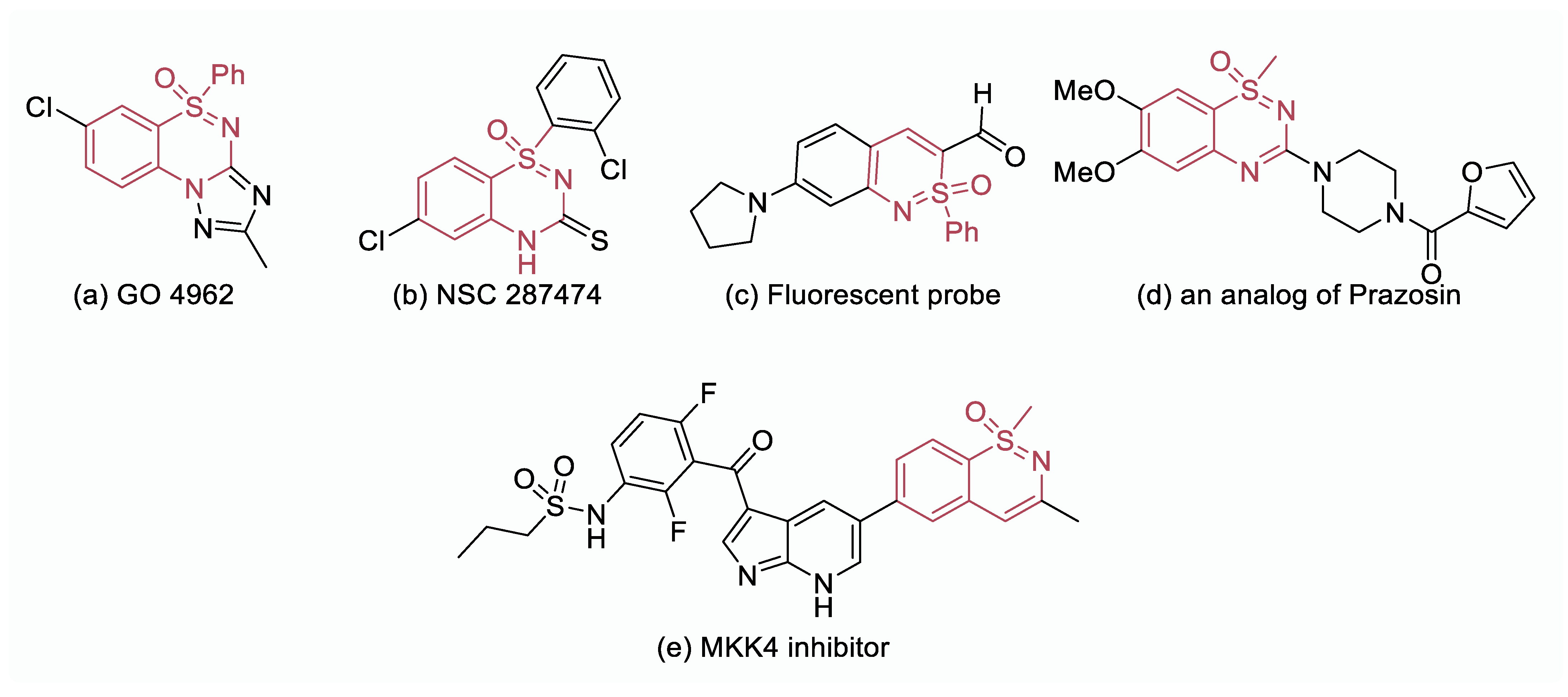Molecules 28 05014 g001