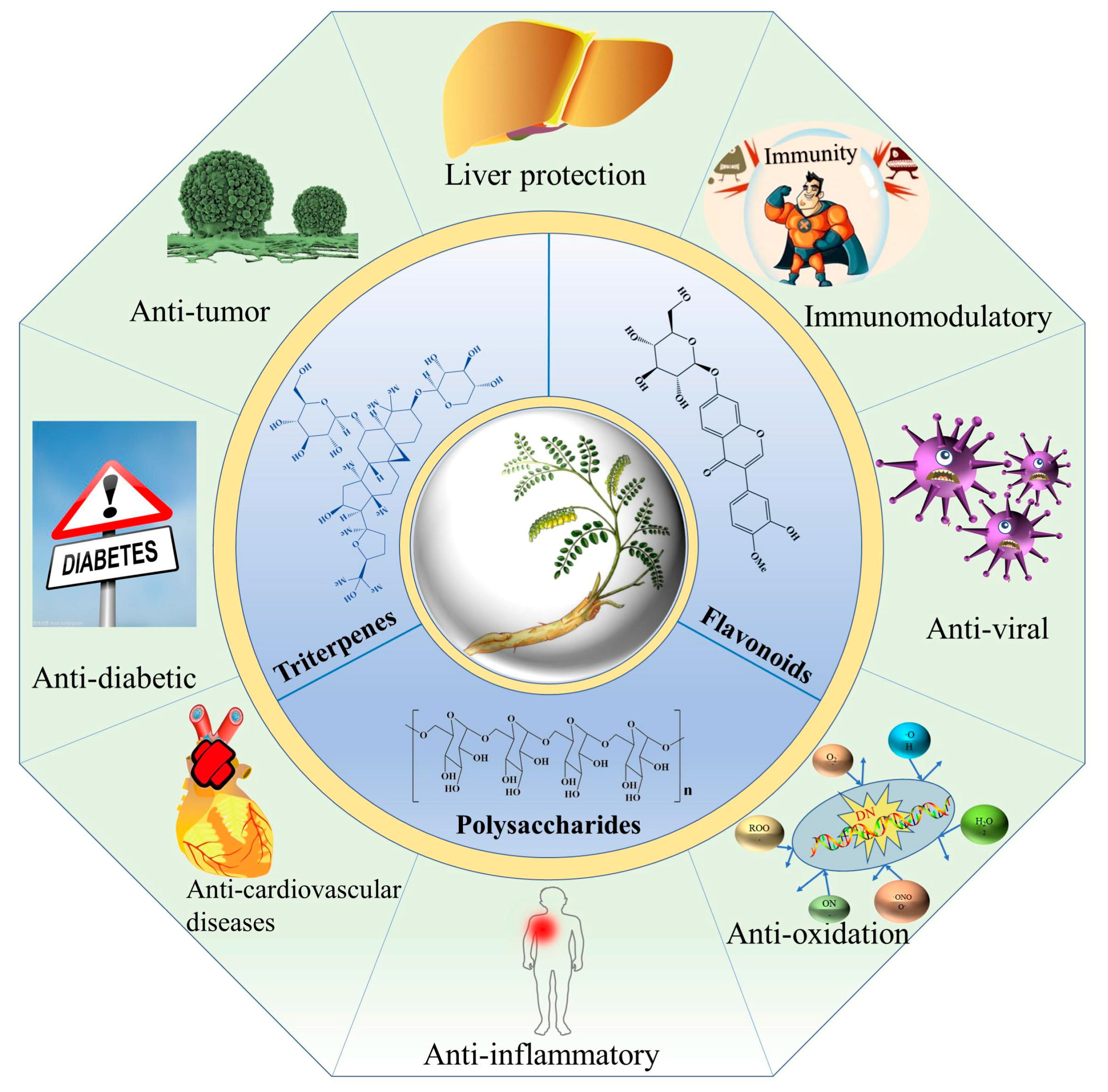 Molecules 28 05018 g004
