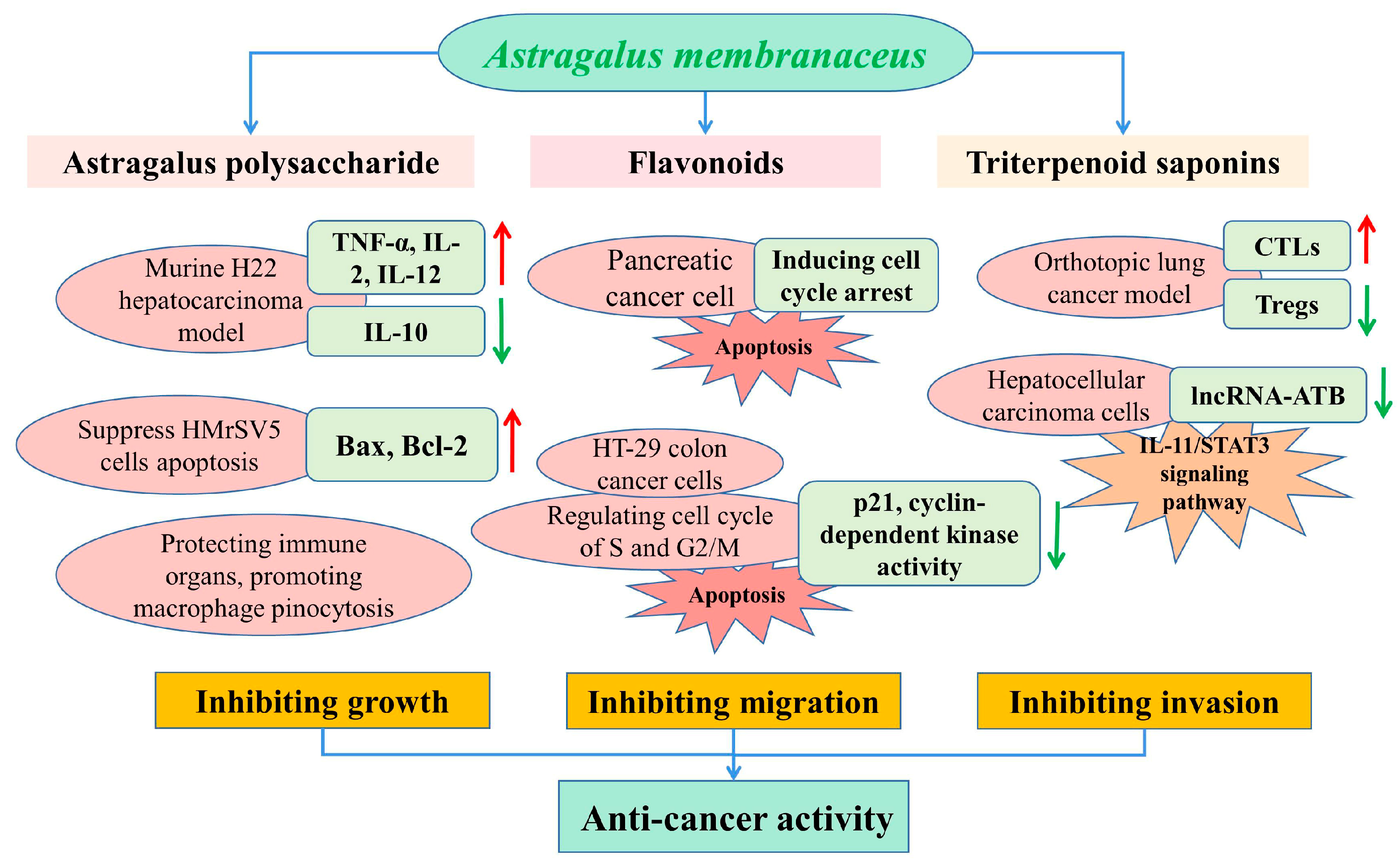 Molecules 28 05018 g005