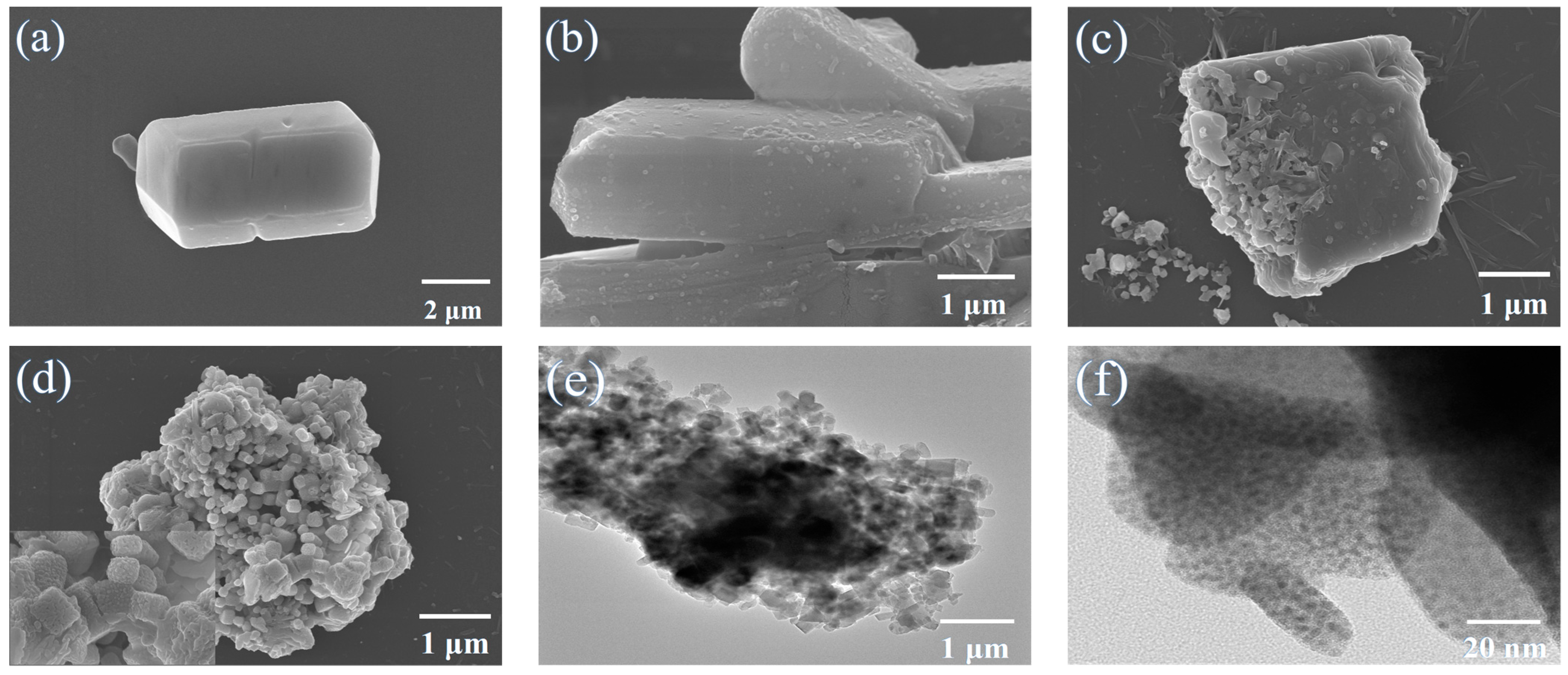 Molecules 28 05021 g006