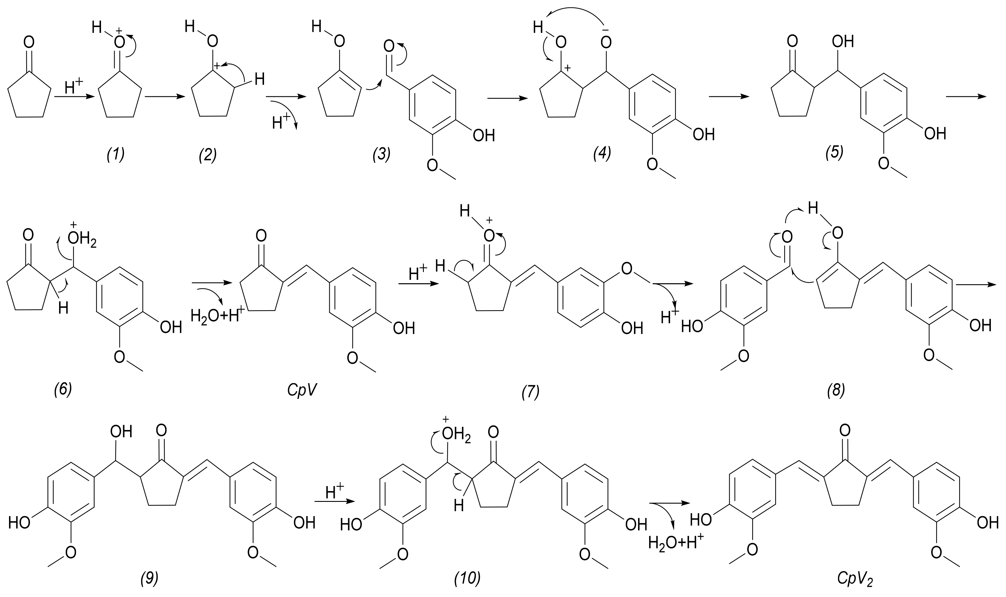 Molecules 28 05029 sch002