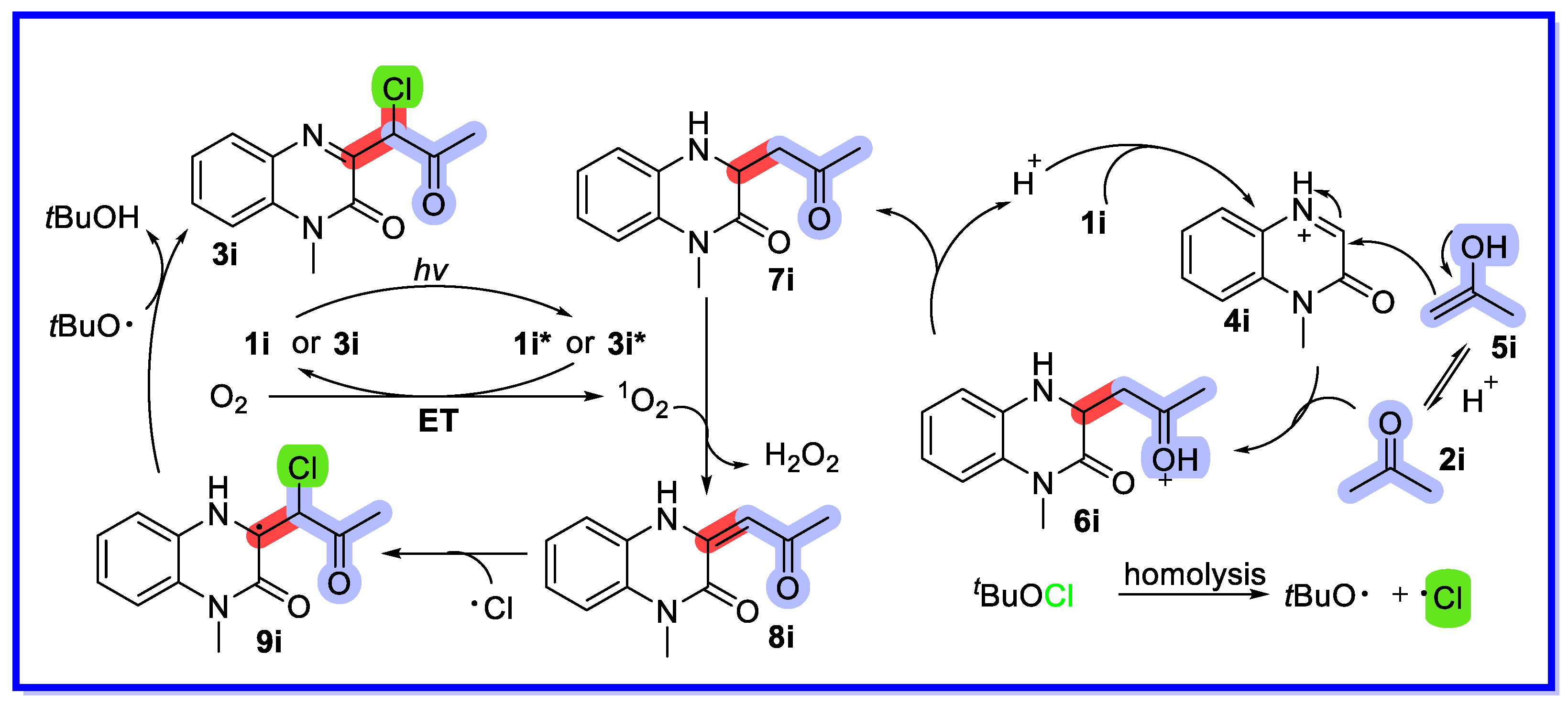 Molecules 28 05030 sch022