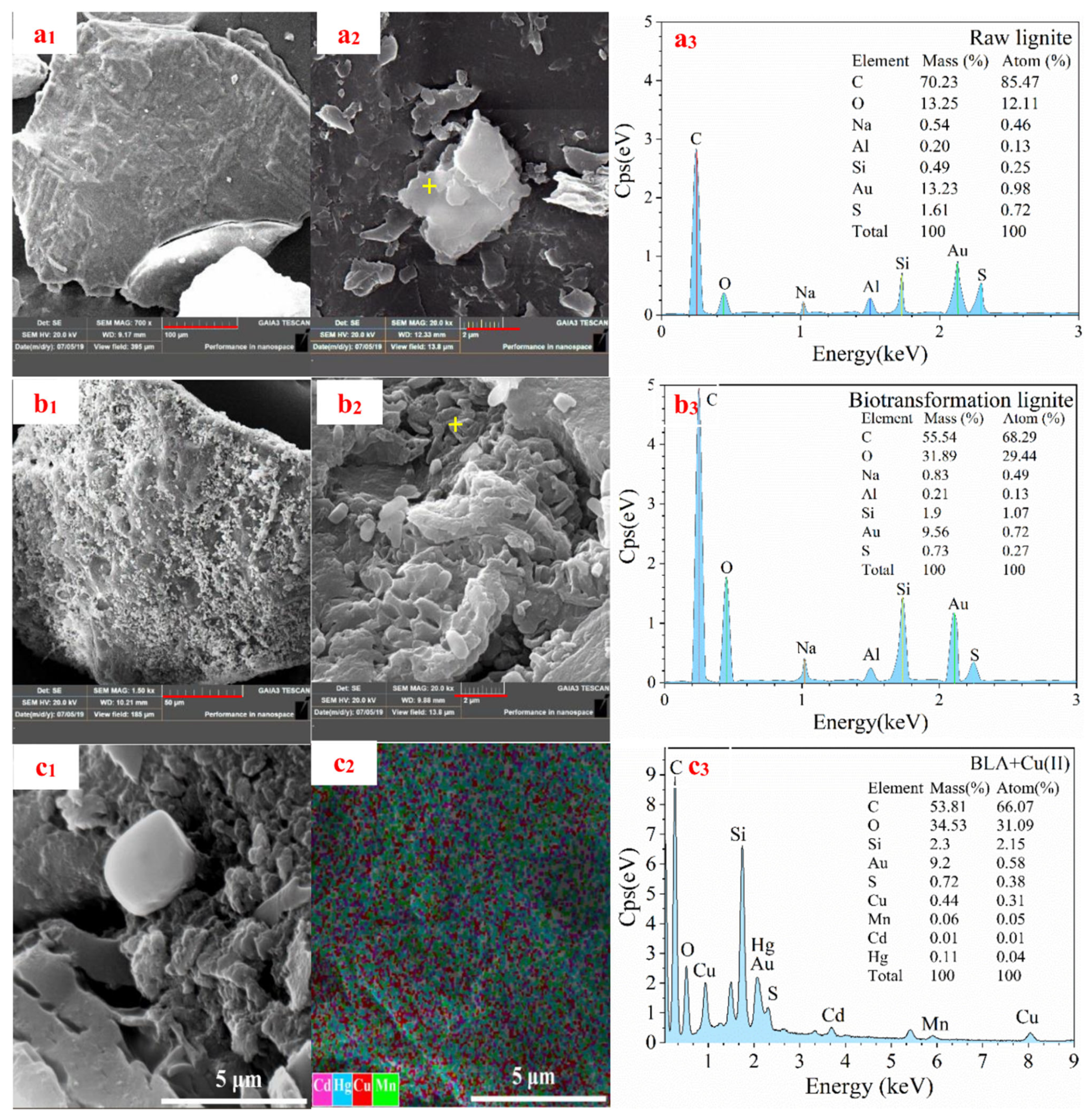 Molecules 28 05031 g008 Molecules 28 05031 g008
