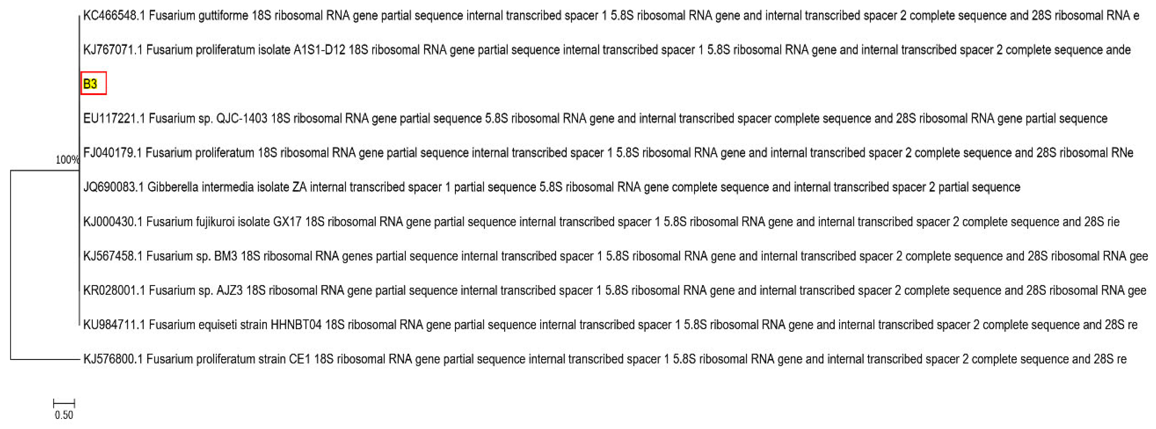 Molecules 28 05031 g011 Molecules 28 05031 g011