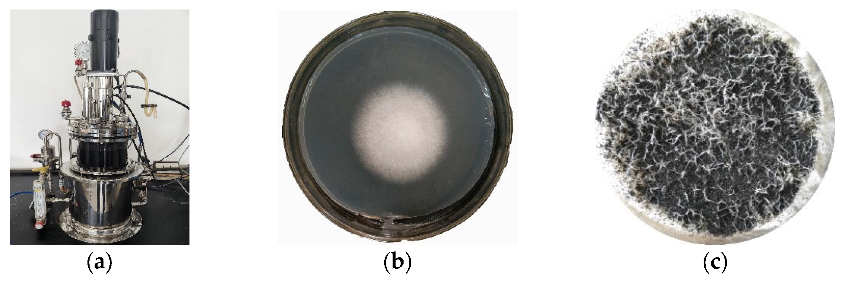 Molecules 28 05031 g012 Molecules 28 05031 g012