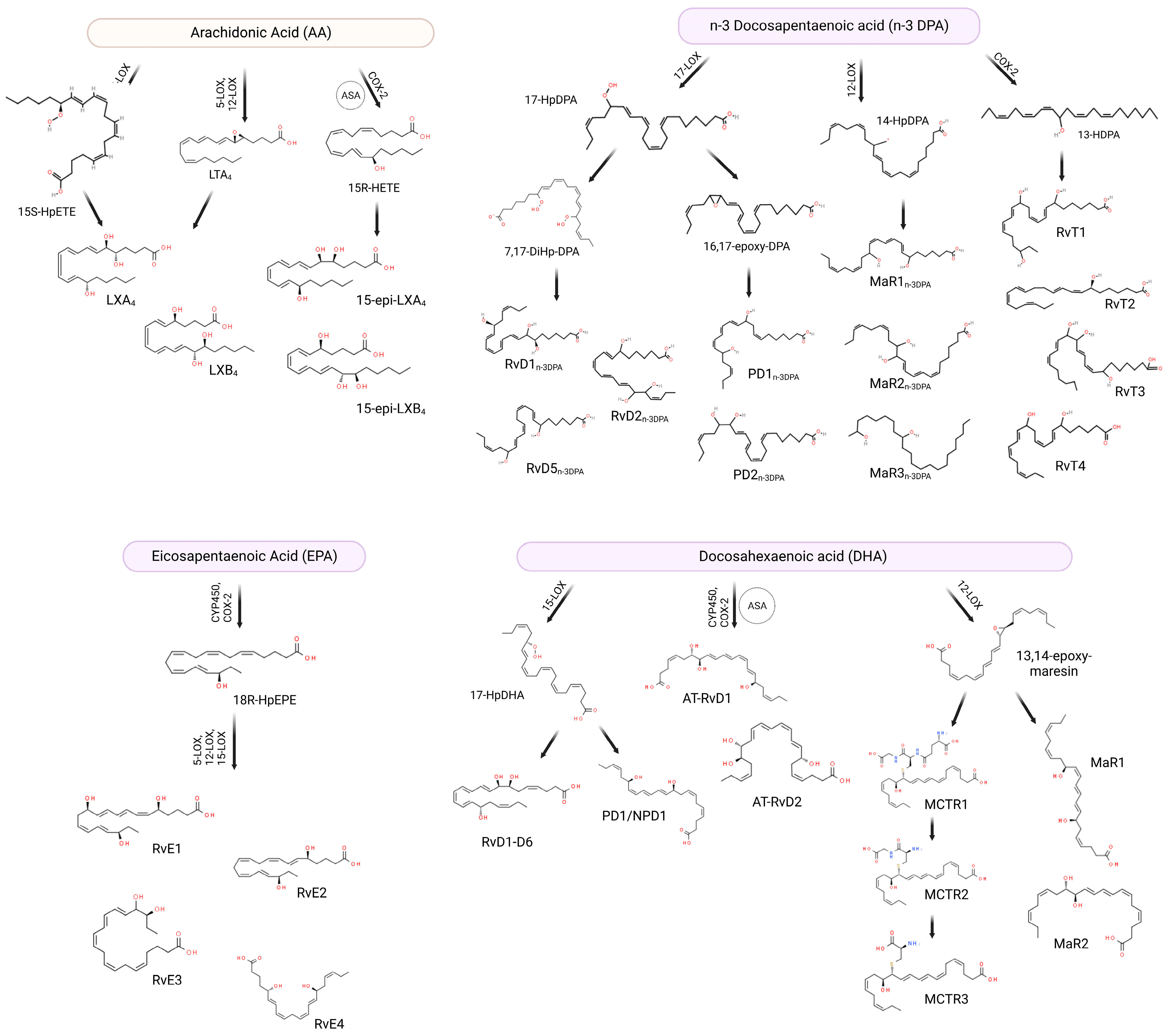 Molecules 28 05032 g001