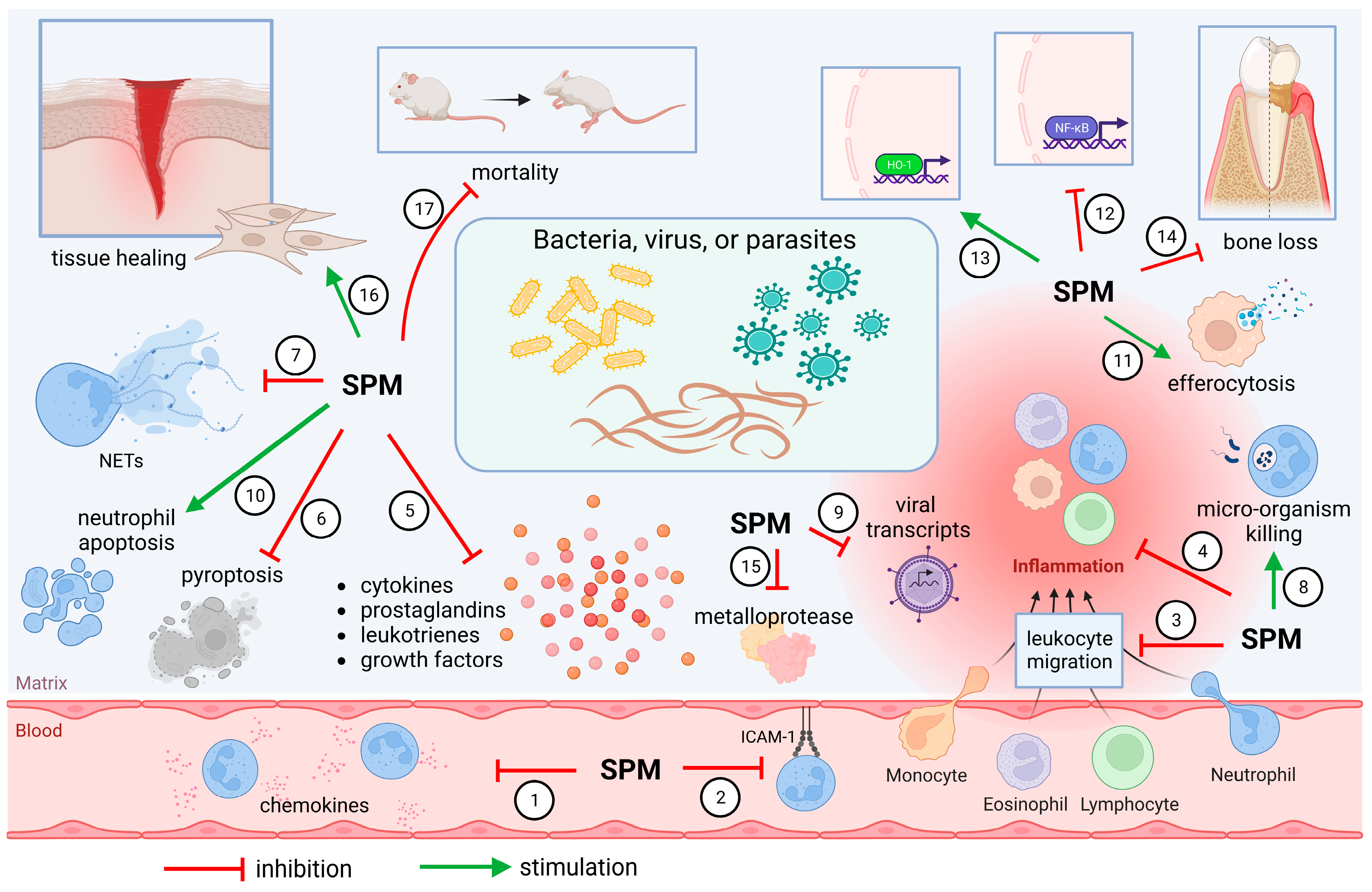 Molecules 28 05032 g002