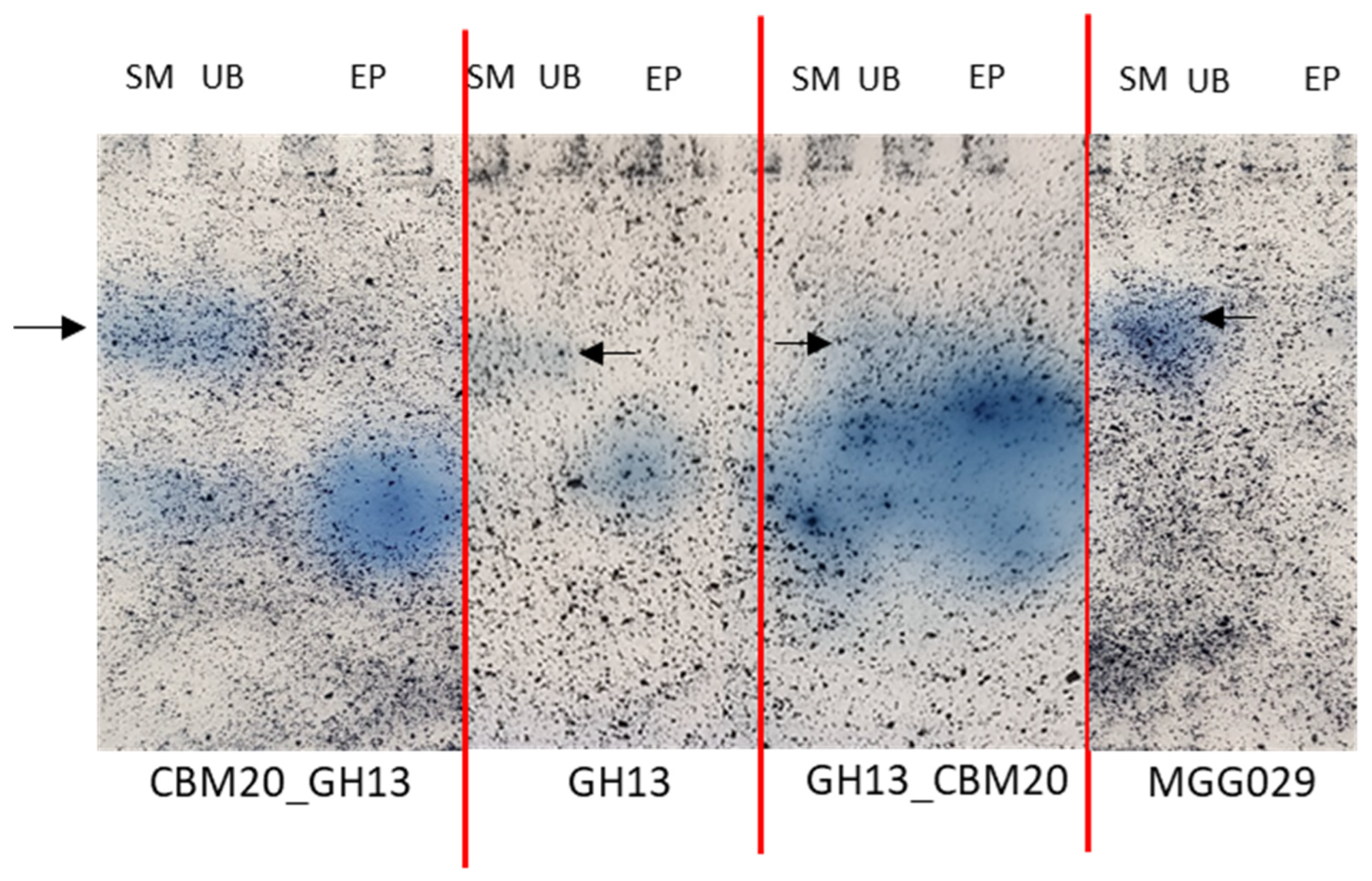 Molecules 28 05033 g004 Molecules 28 05033 g004