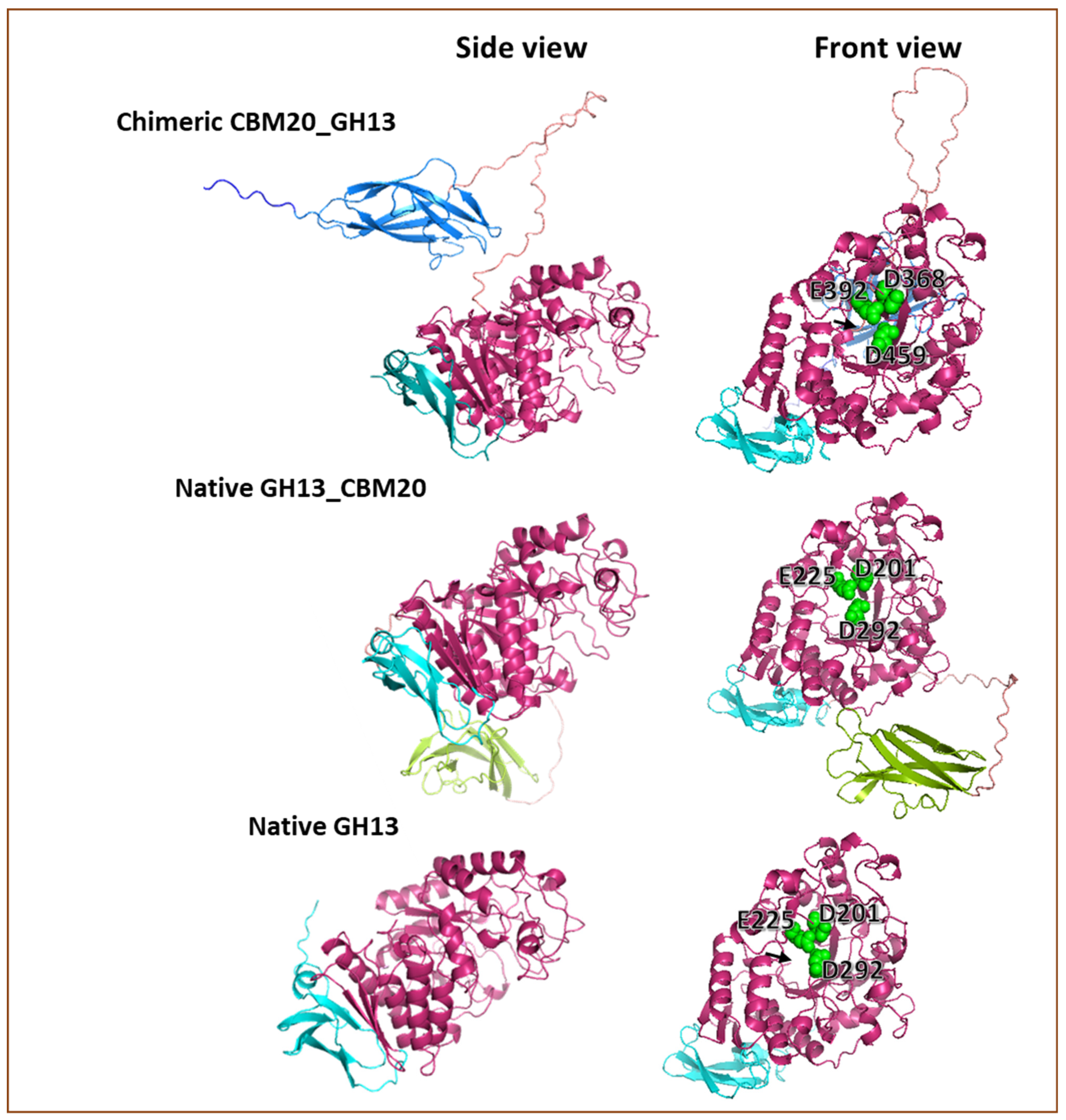 Molecules 28 05033 g006 Molecules 28 05033 g006