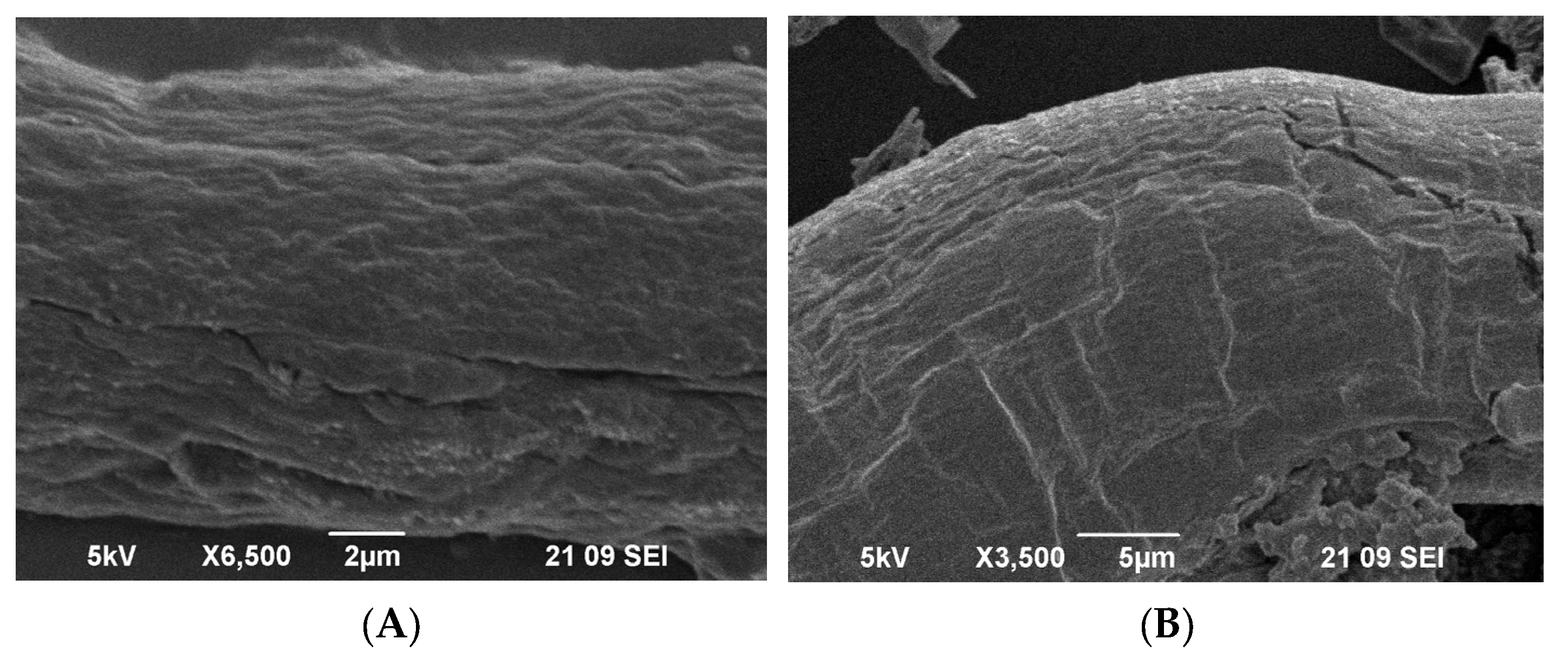 Molecules 28 05034 g005 Molecules 28 05034 g005