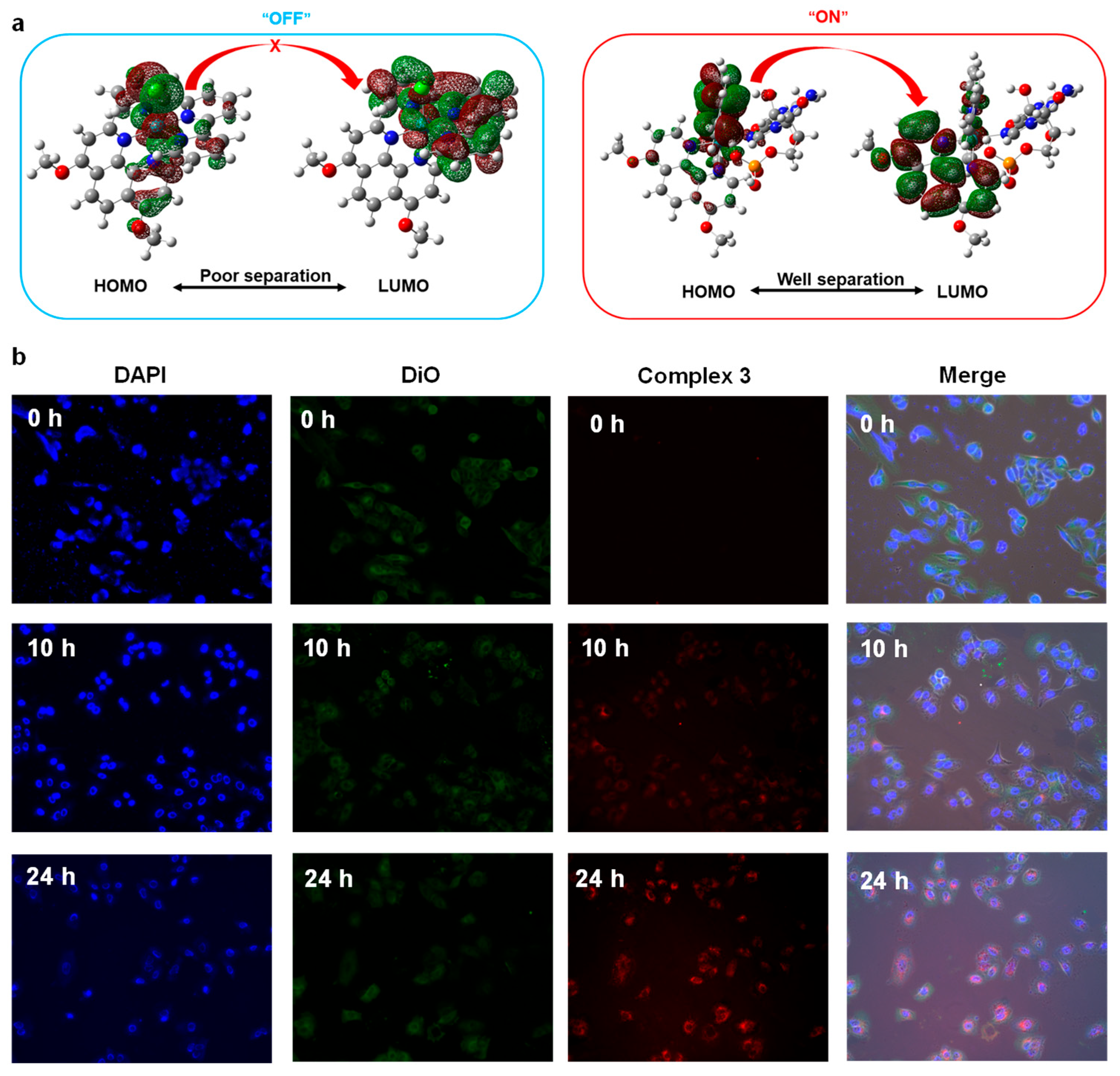Molecules 28 05035 g005