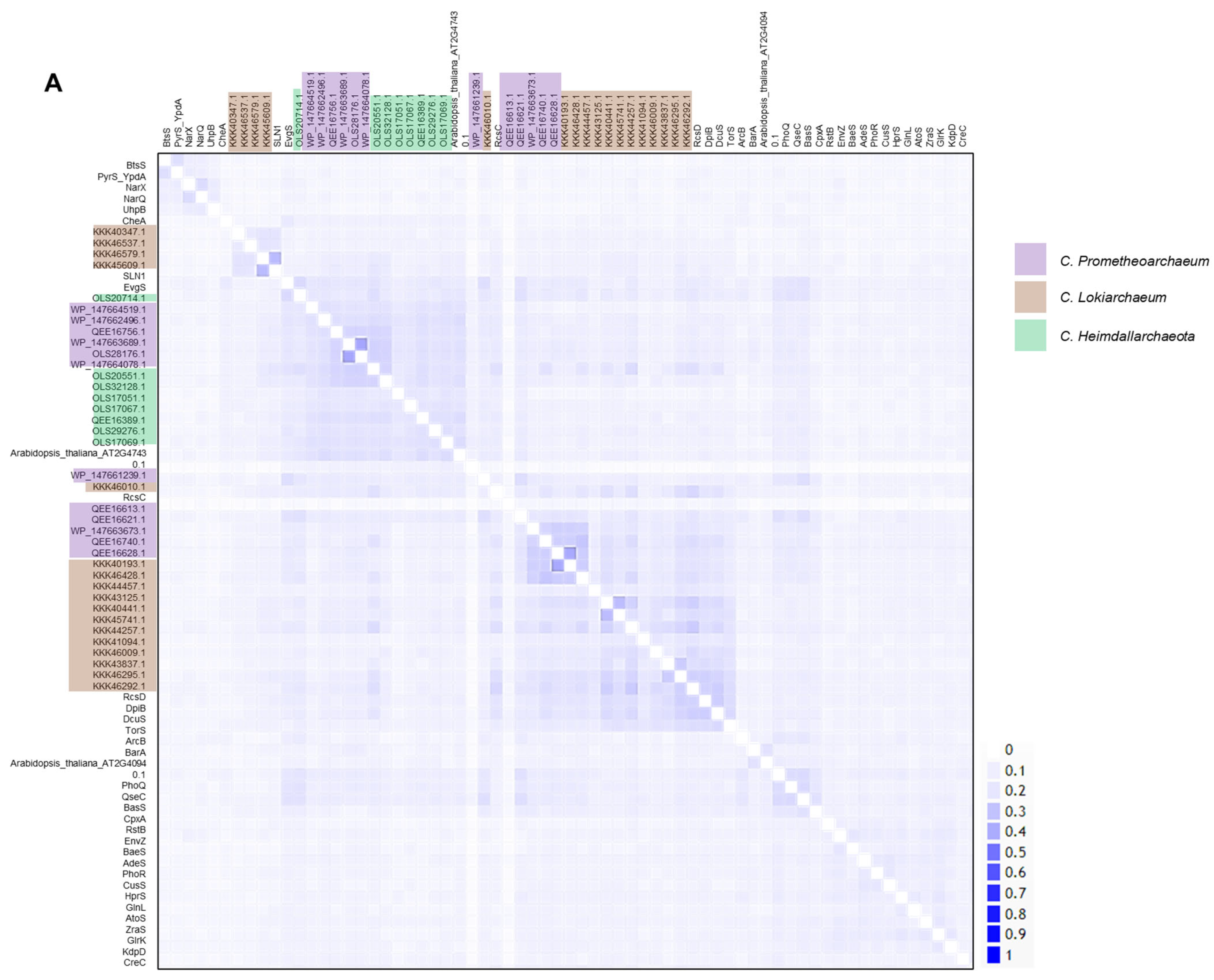 Molecules 28 05042 g001a