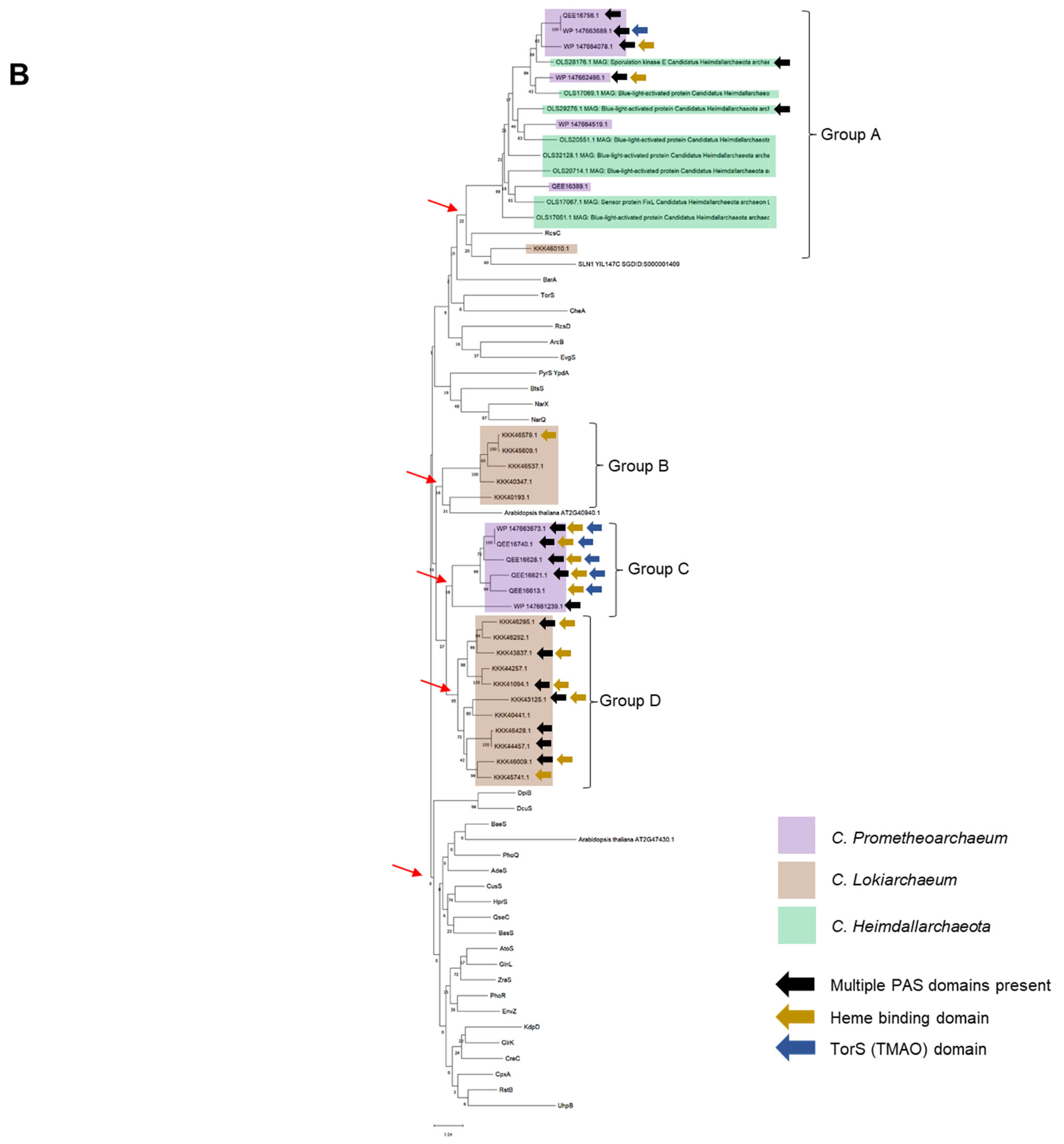 Molecules 28 05042 g001b