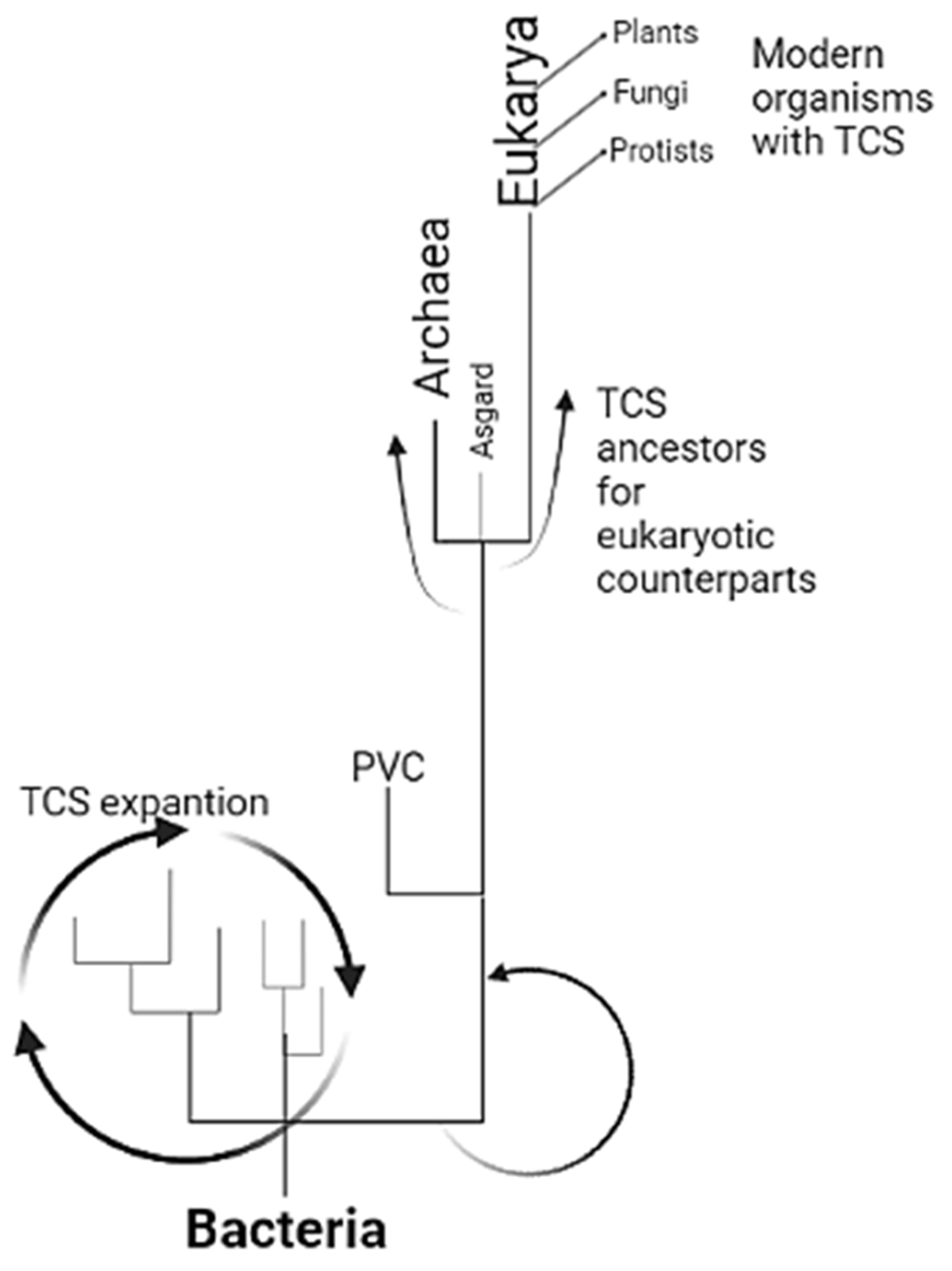 Molecules 28 05042 g004