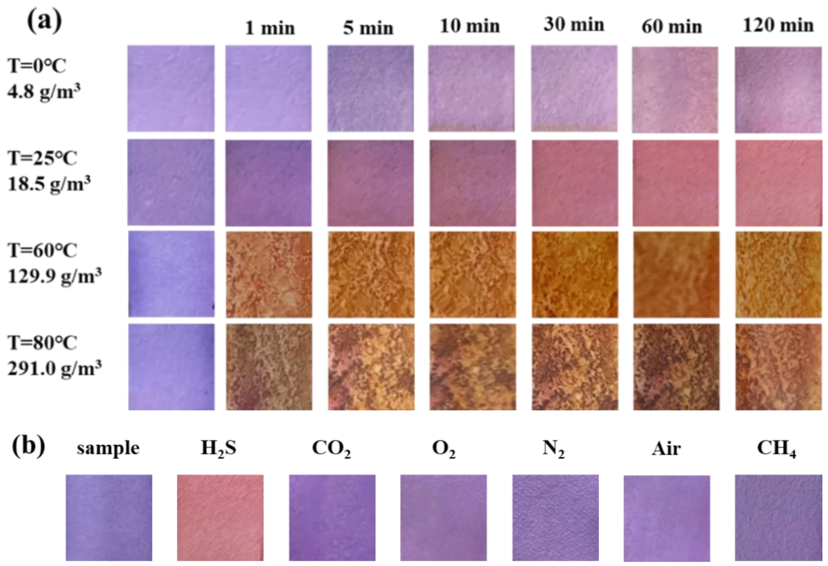Molecules 28 05044 g002 Molecules 28 05044 g002
