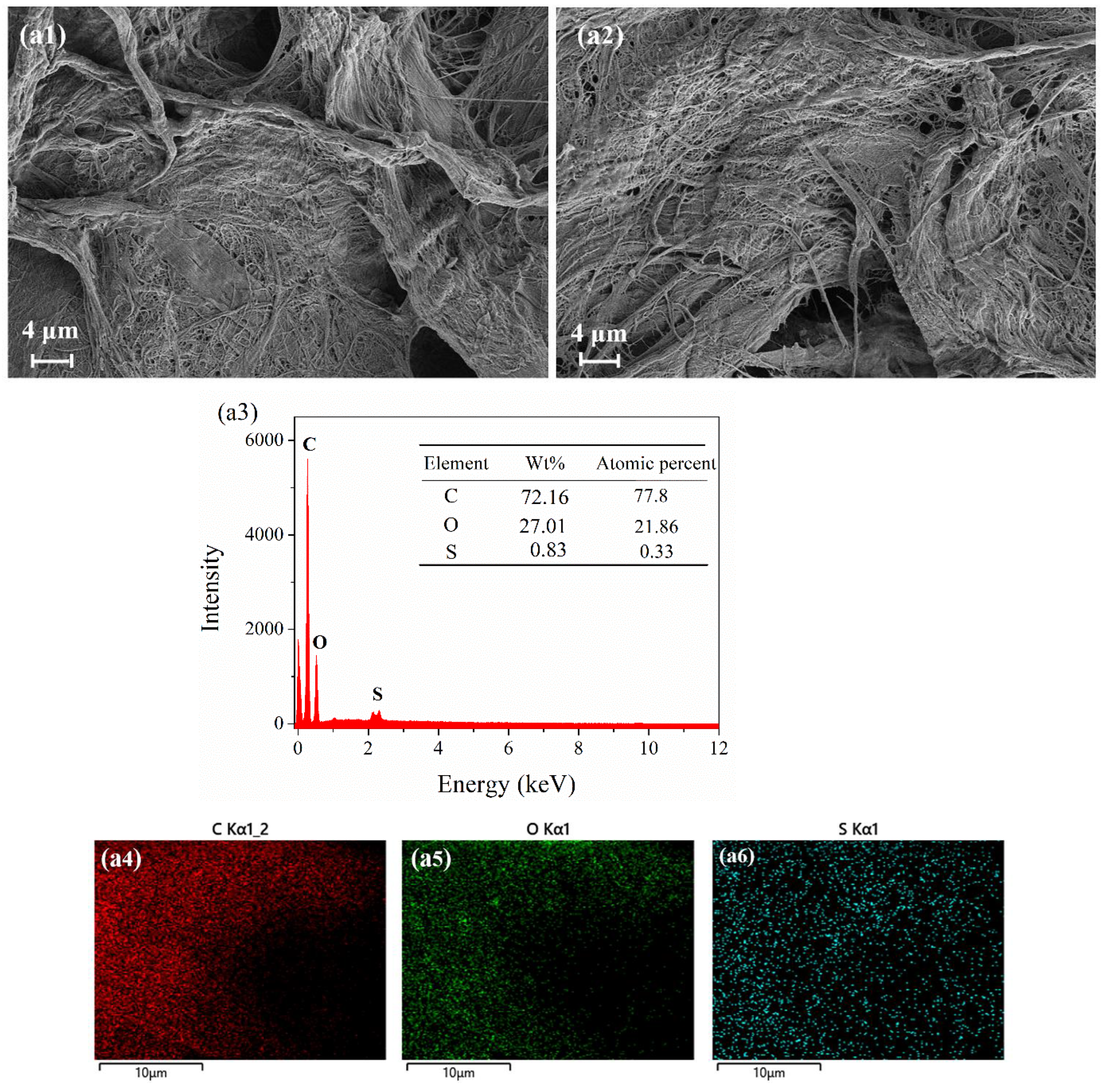 Molecules 28 05044 g008a Molecules 28 05044 g008a