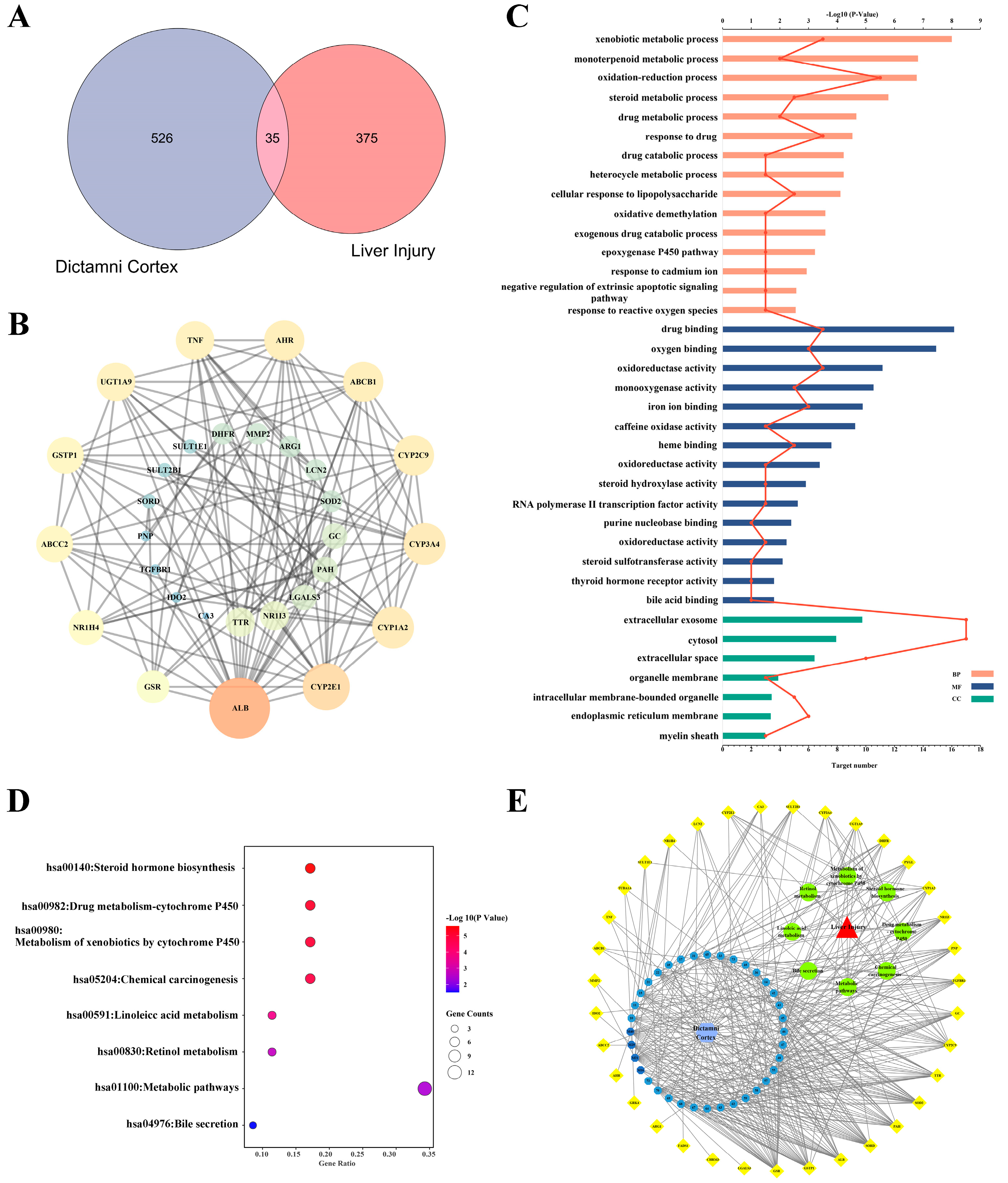 Molecules 28 05045 g001