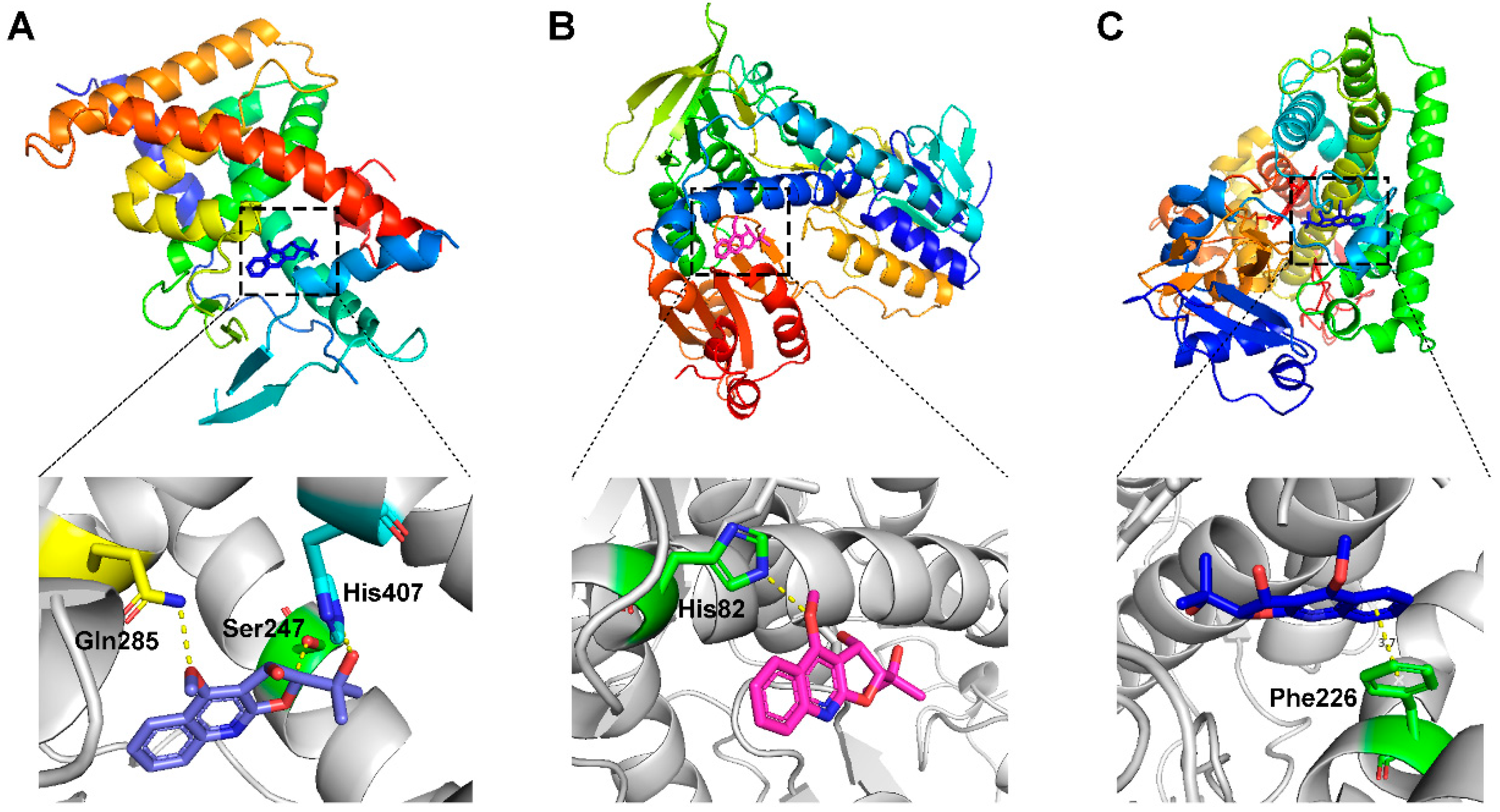Molecules 28 05045 g002