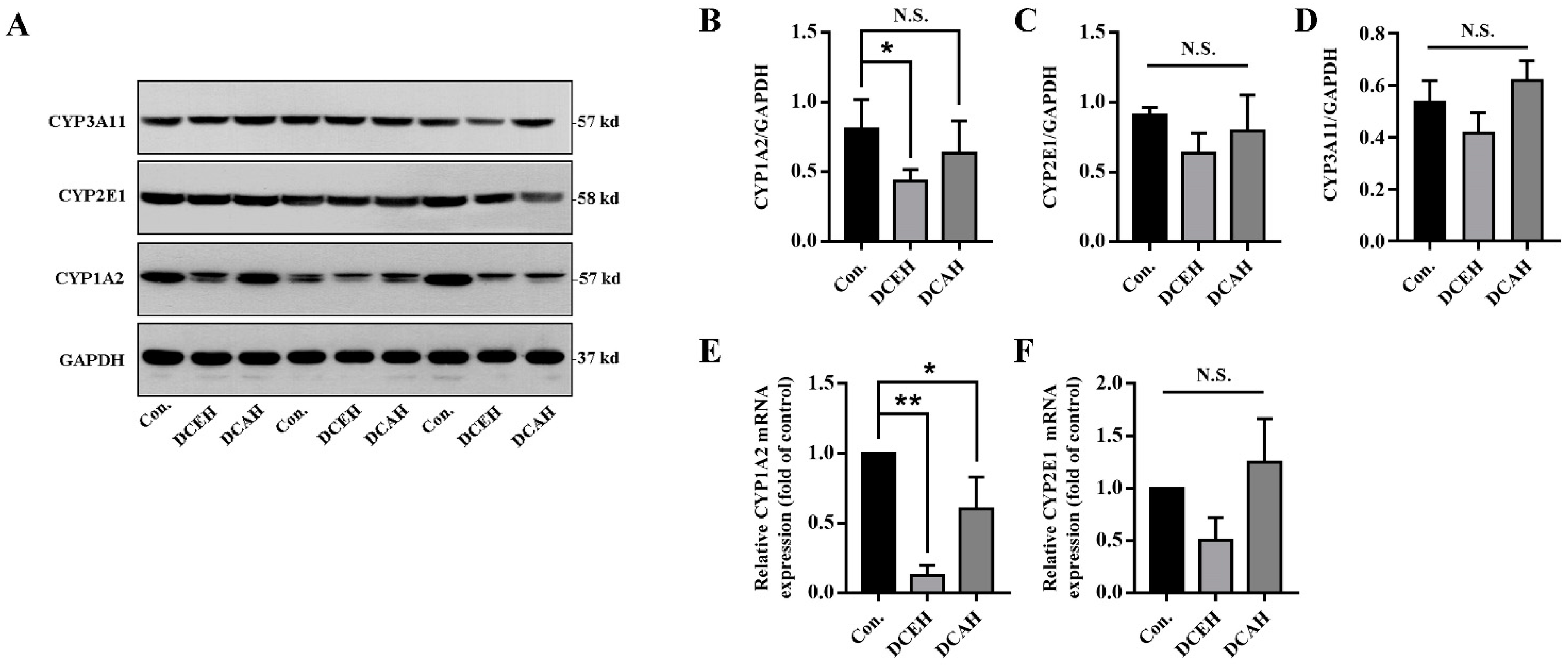 Molecules 28 05045 g007