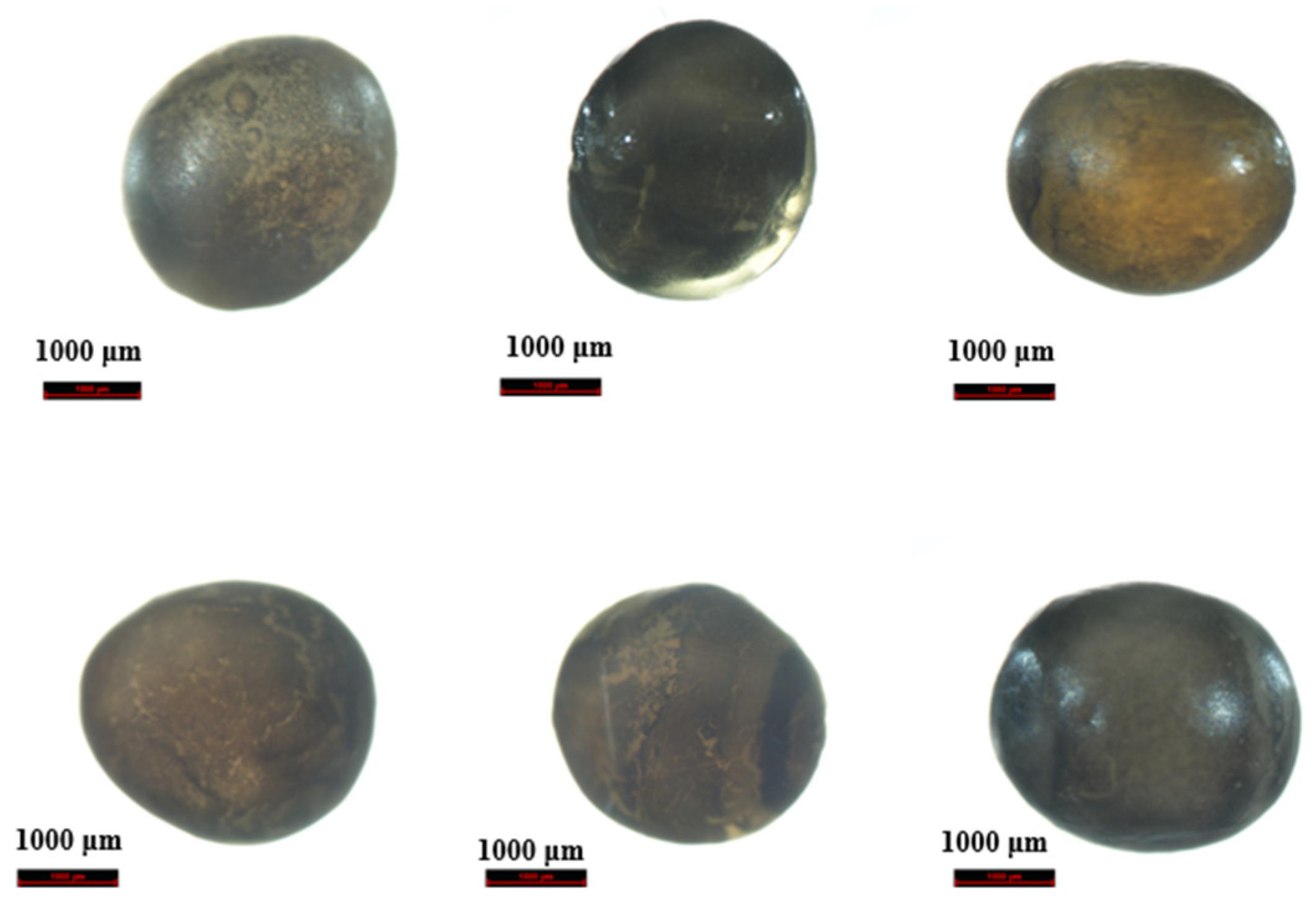 Molecules 28 05046 g001