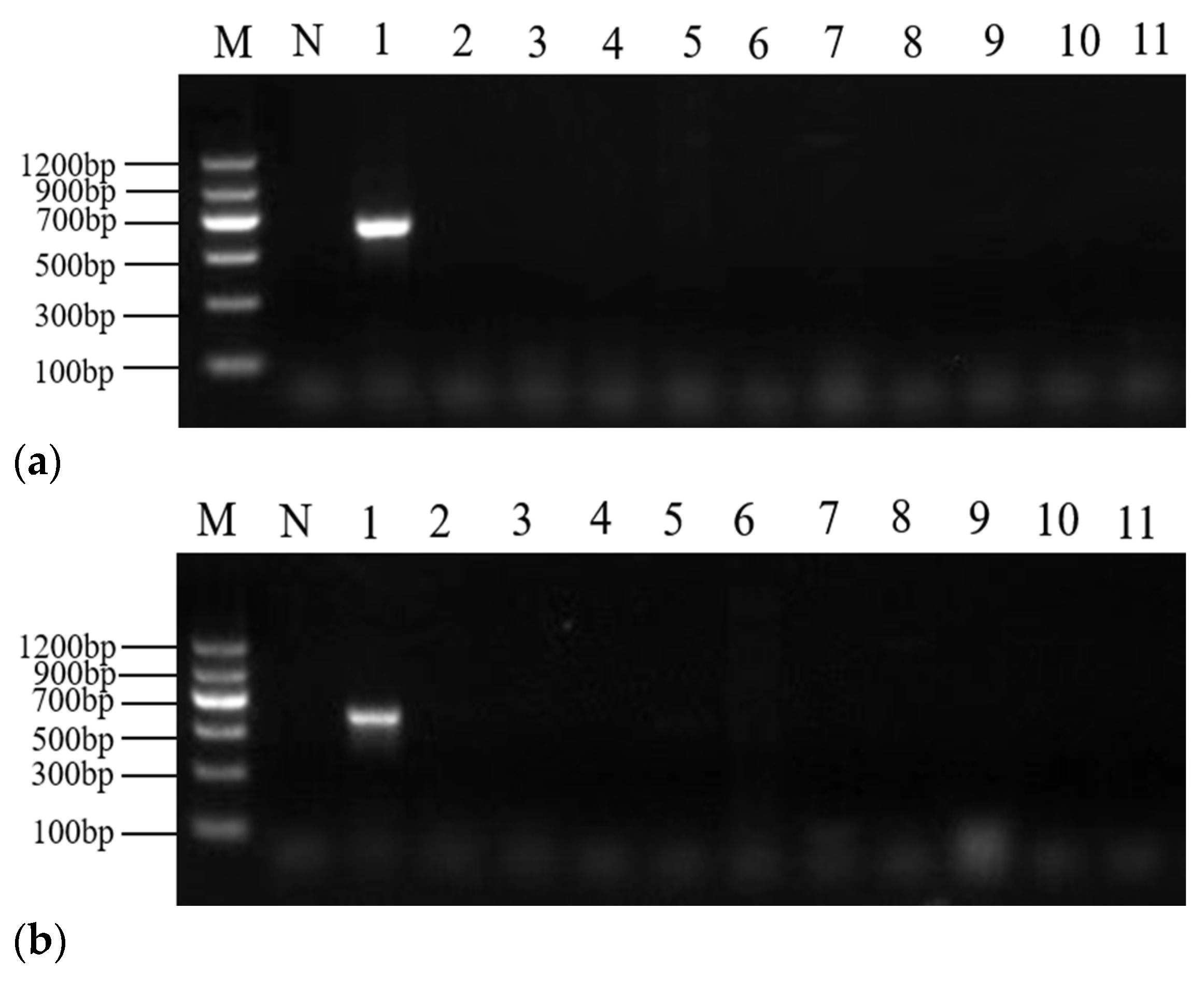 Molecules 28 05046 g003