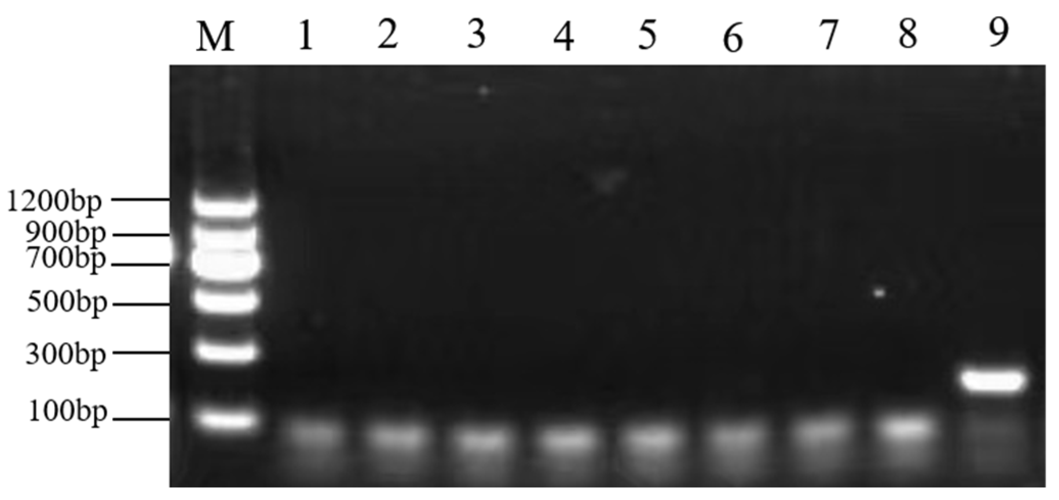 Molecules 28 05046 g004