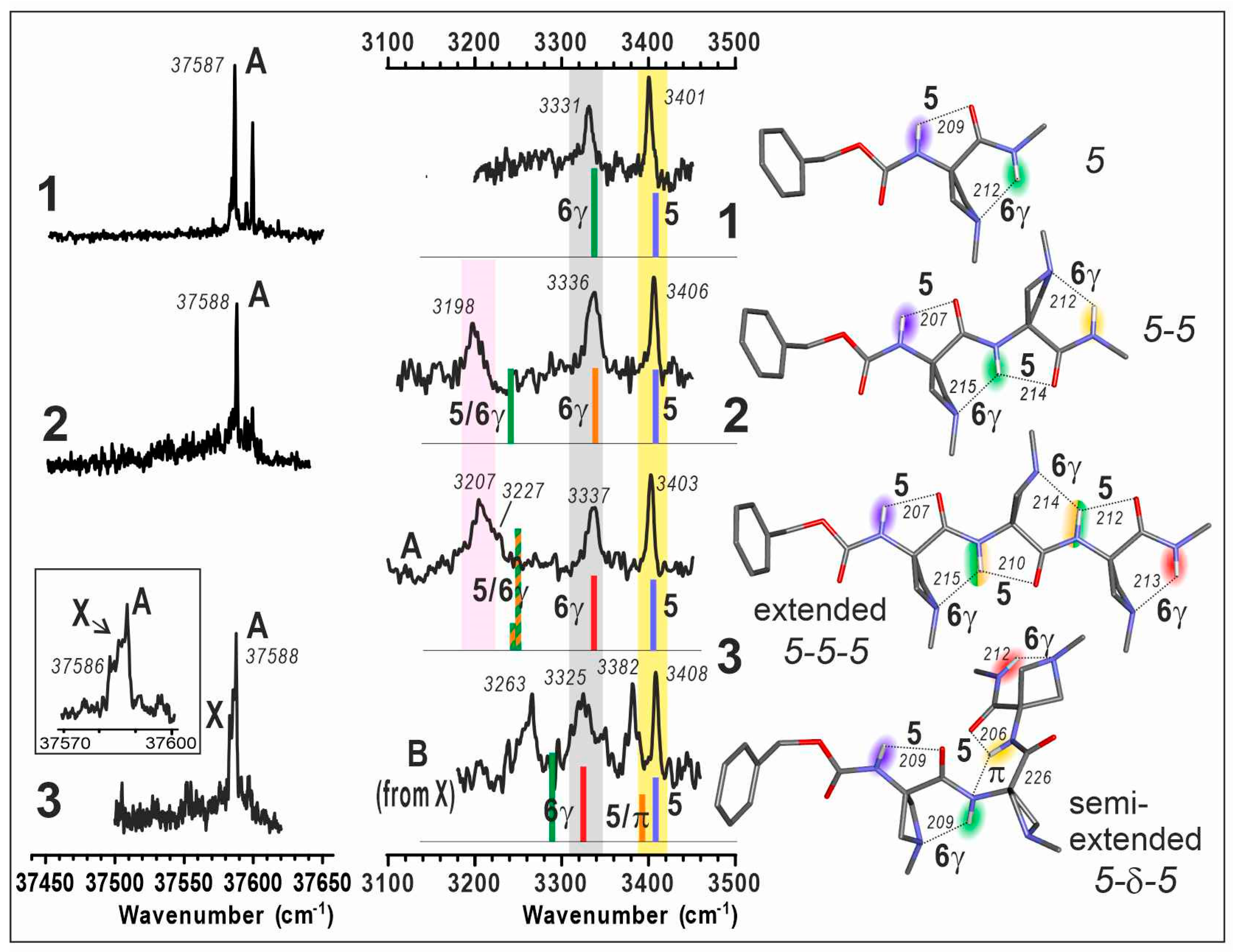 Molecules 28 05048 g003