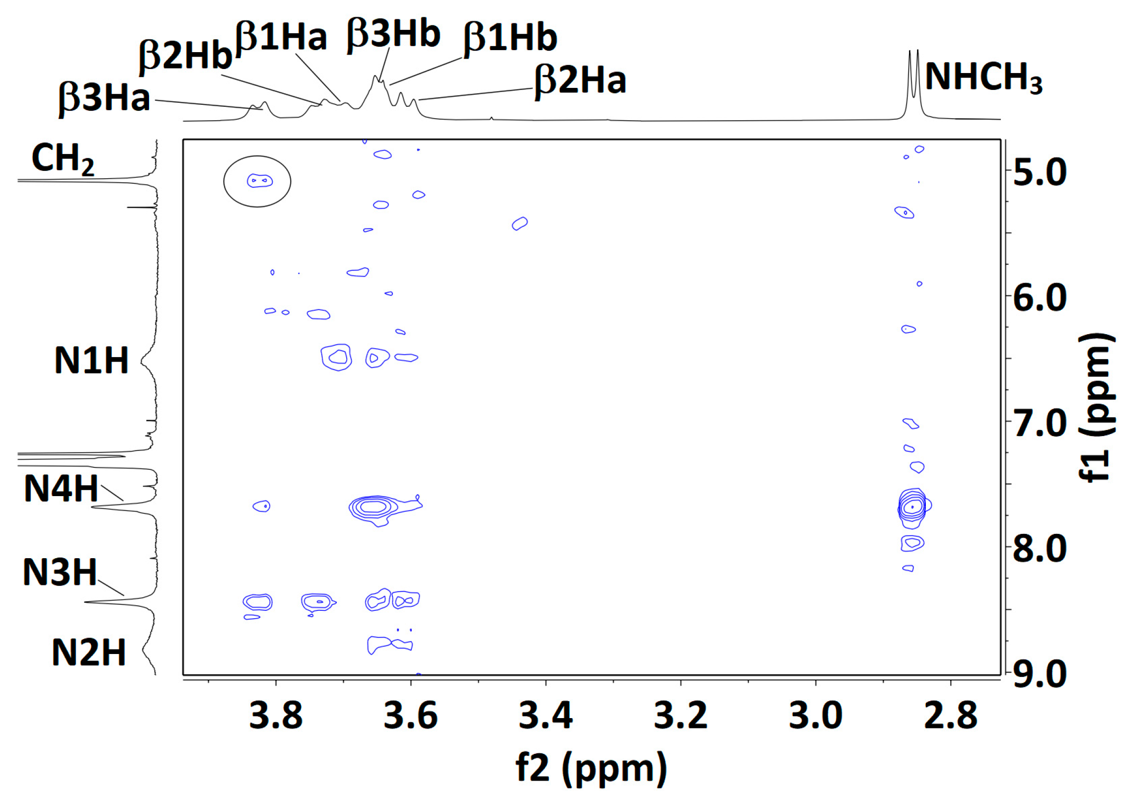 Molecules 28 05048 g006b