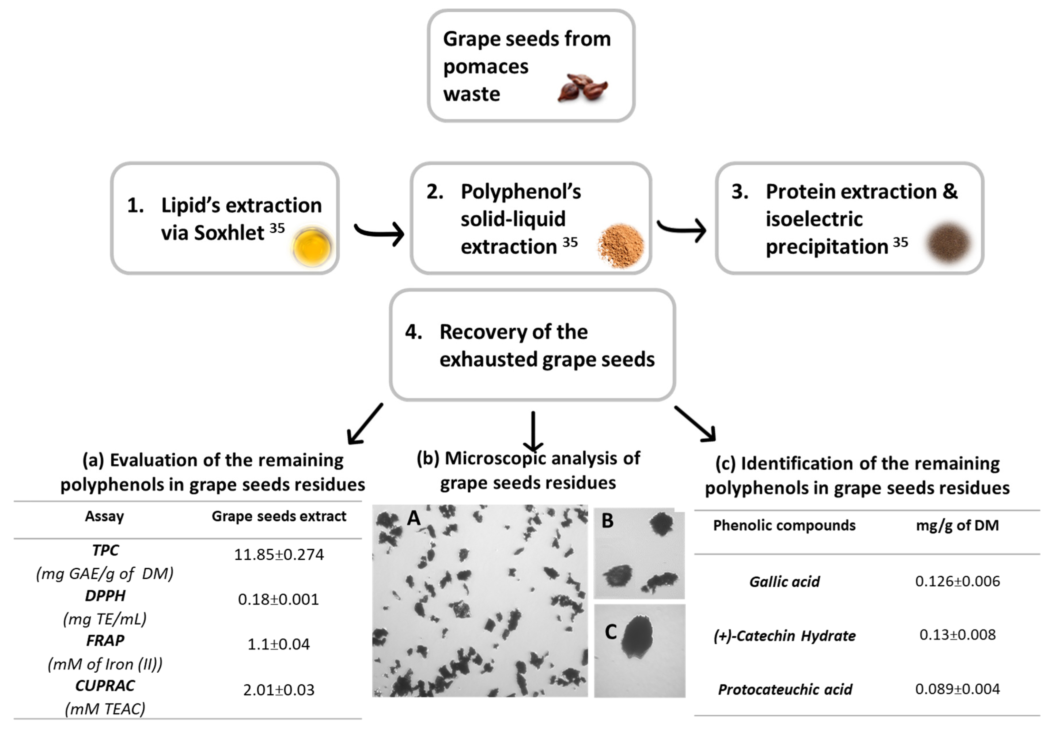 Molecules 28 05049 g001