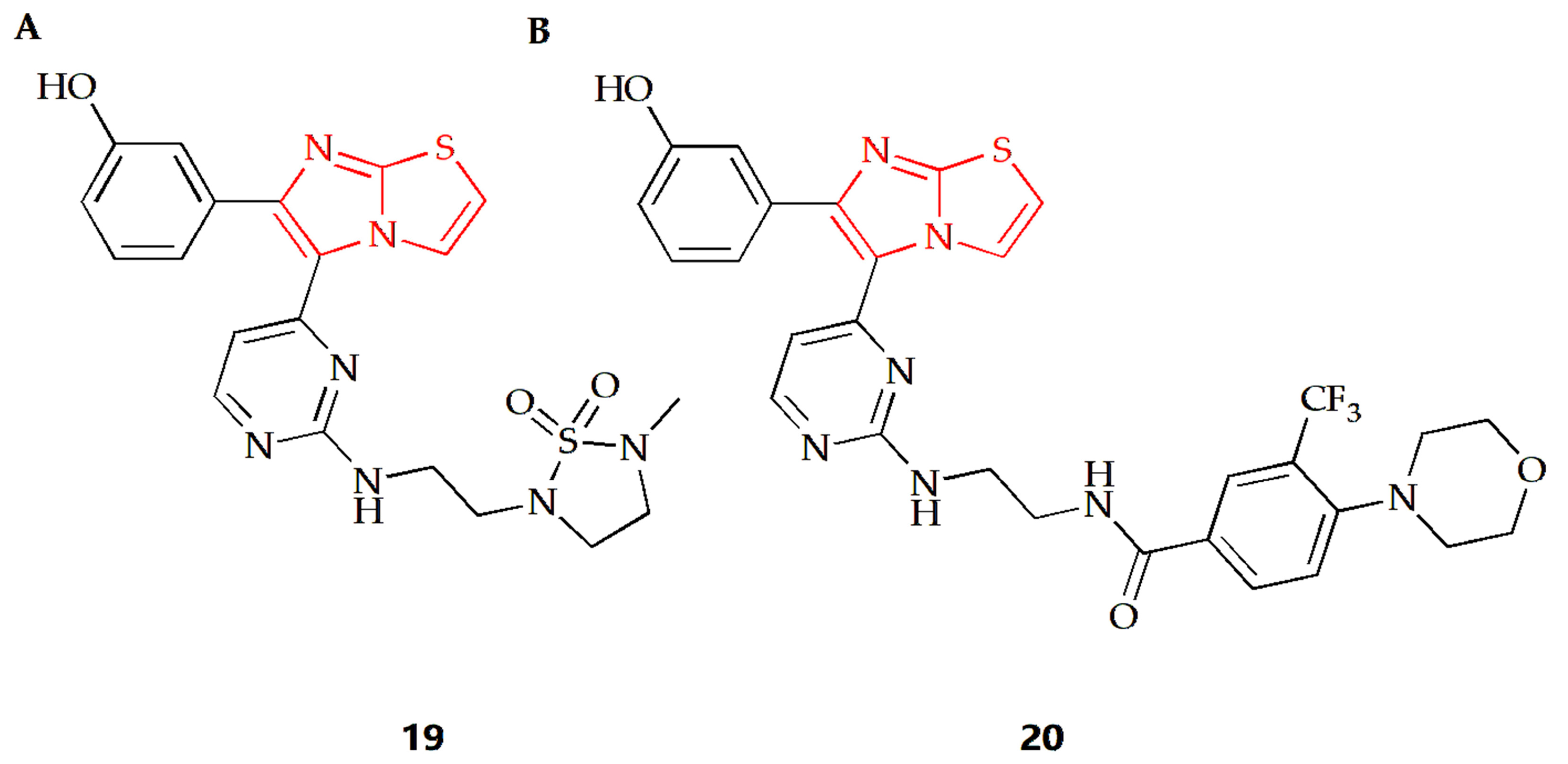 Molecules 28 05052 g008