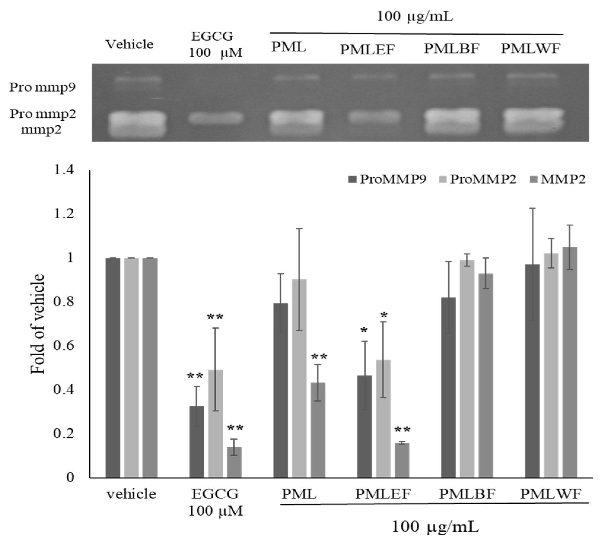 Molecules 28 05063 g001