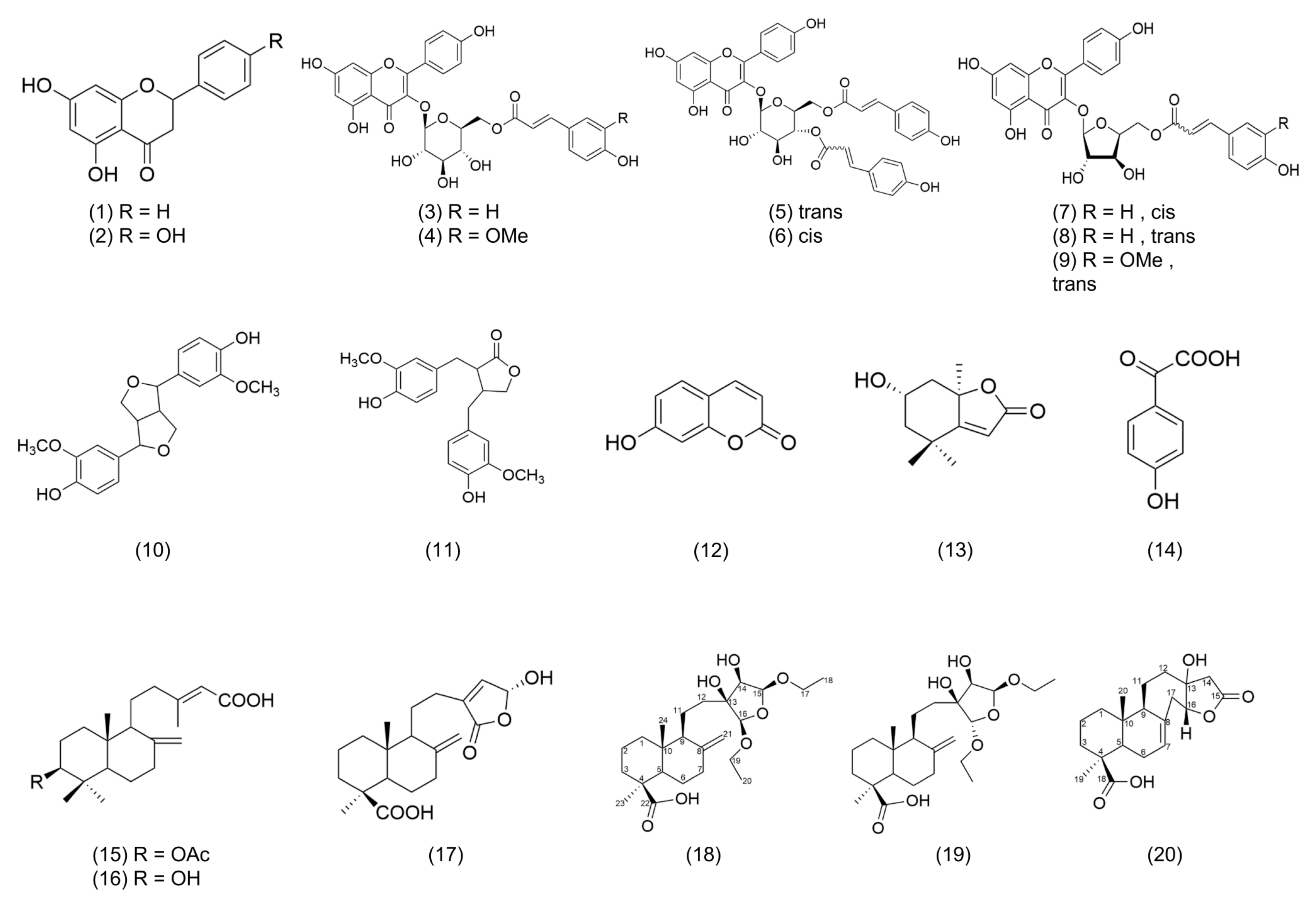 Molecules 28 05063 g004