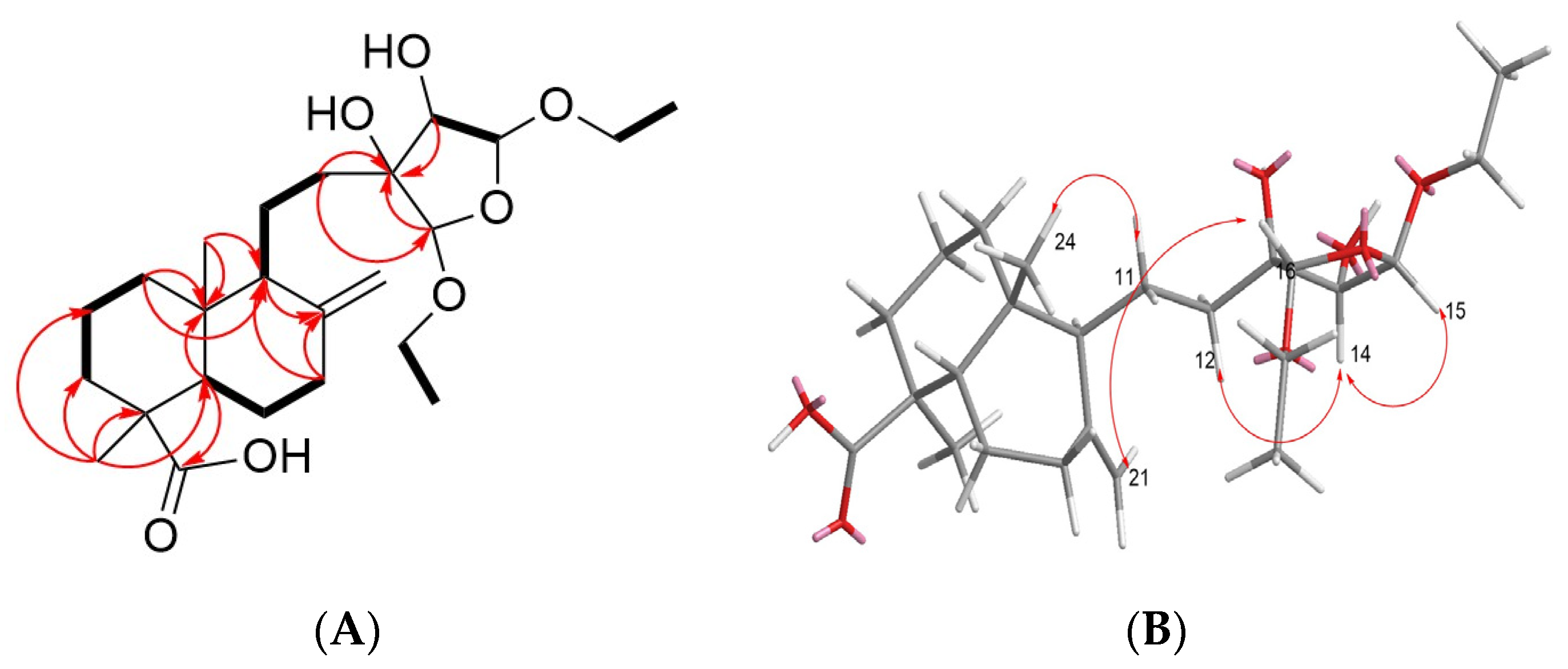 Molecules 28 05063 g005a