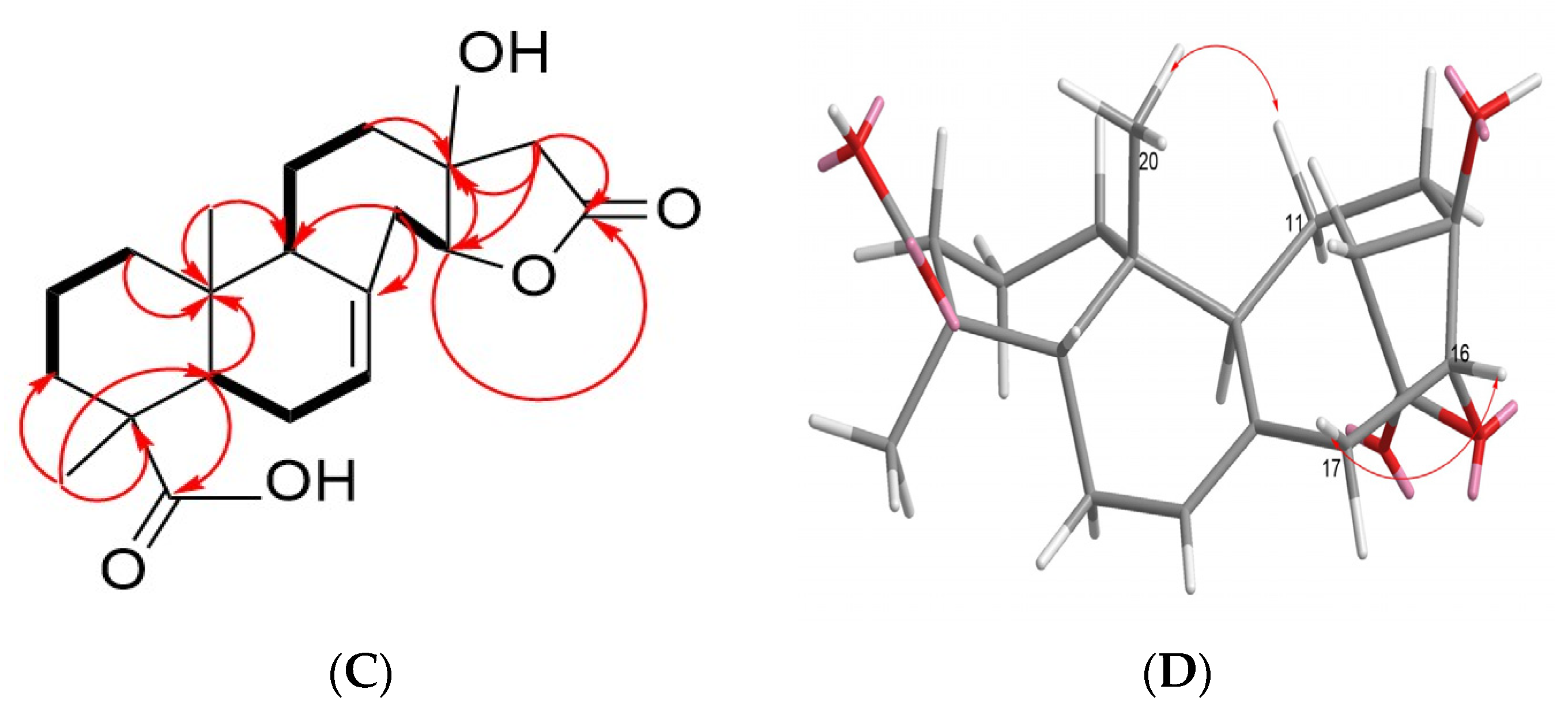 Molecules 28 05063 g005b