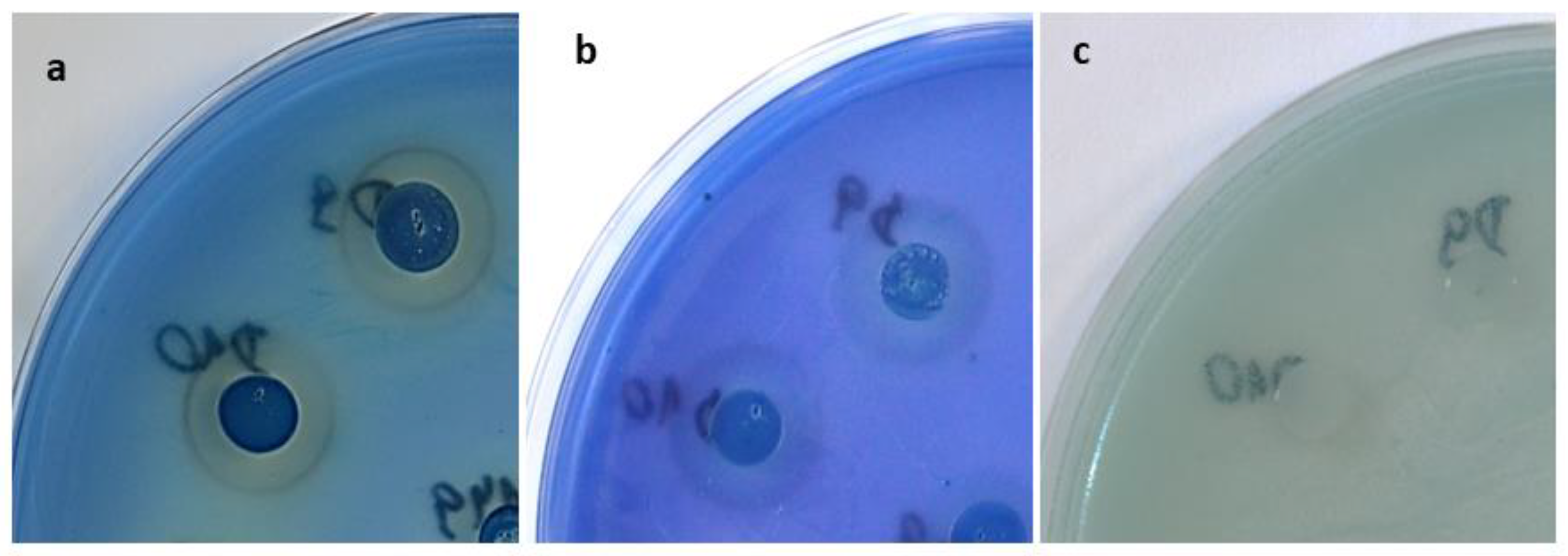 Molecules 28 05064 g004