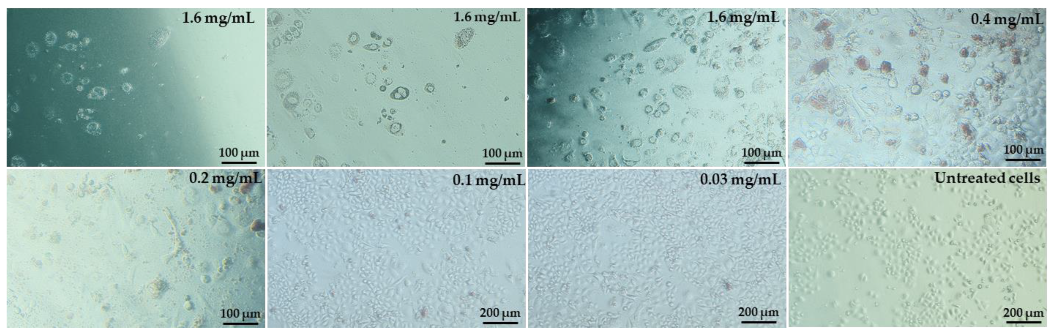 Molecules 28 05064 g007
