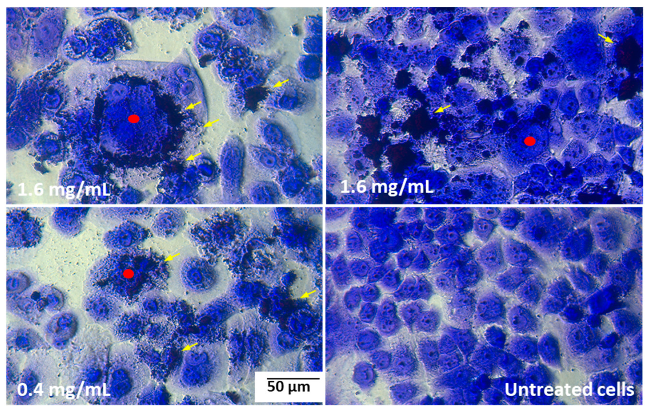 Molecules 28 05064 g008