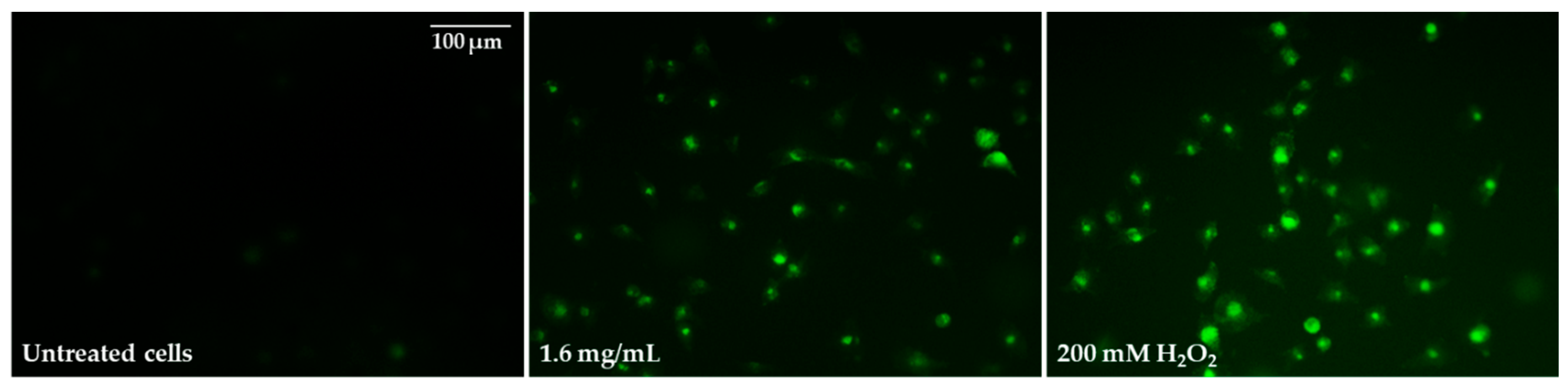 Molecules 28 05064 g010