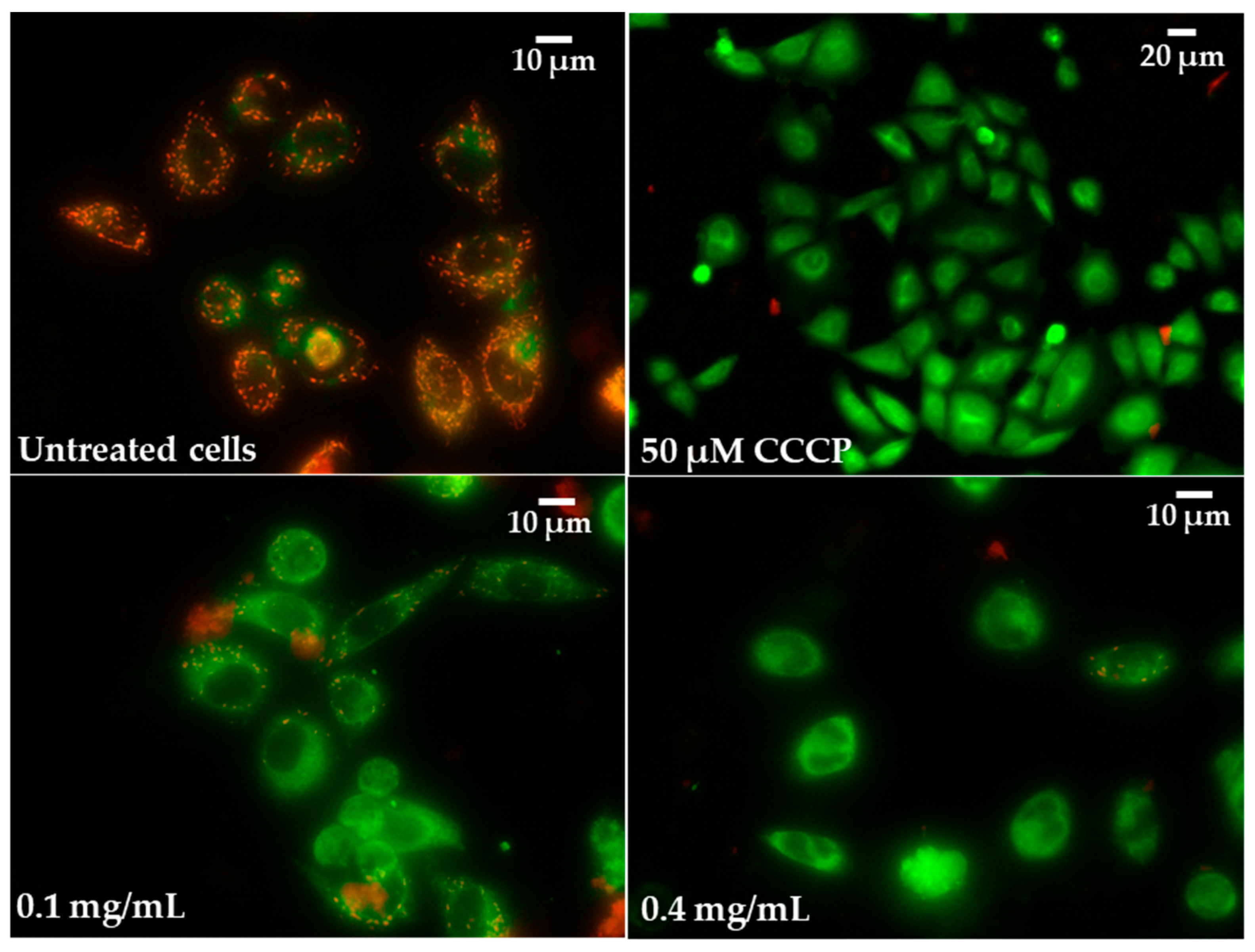 Molecules 28 05064 g011