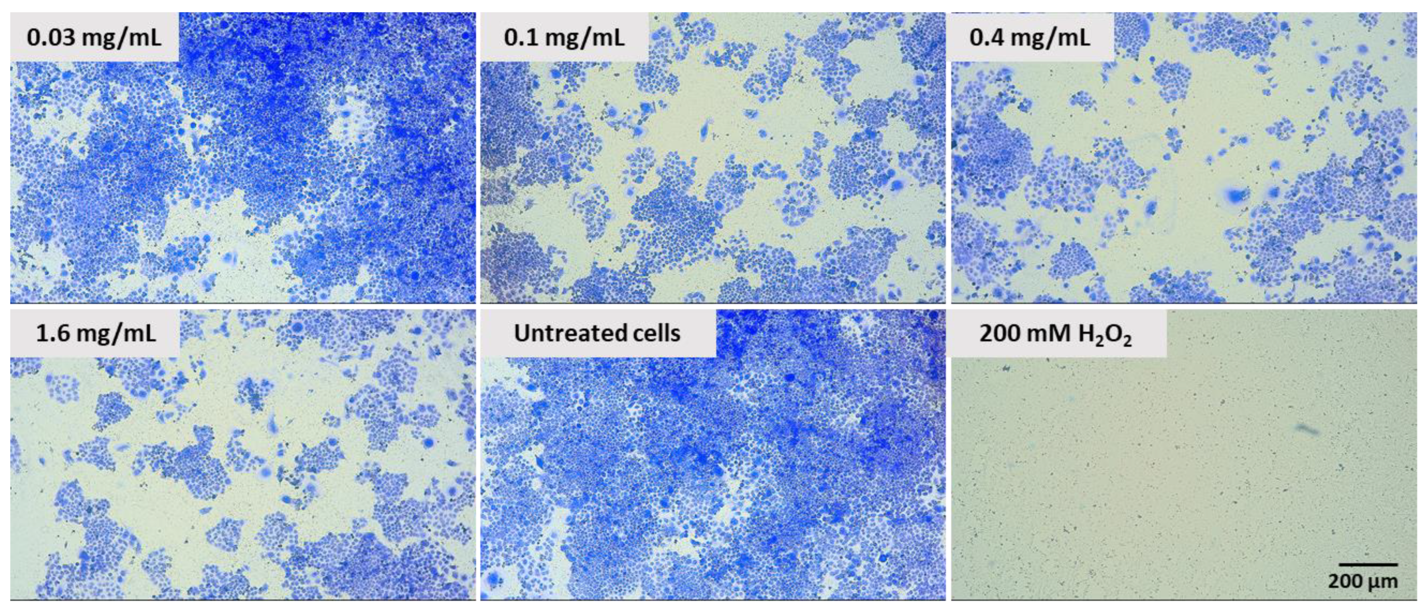 Molecules 28 05064 g012