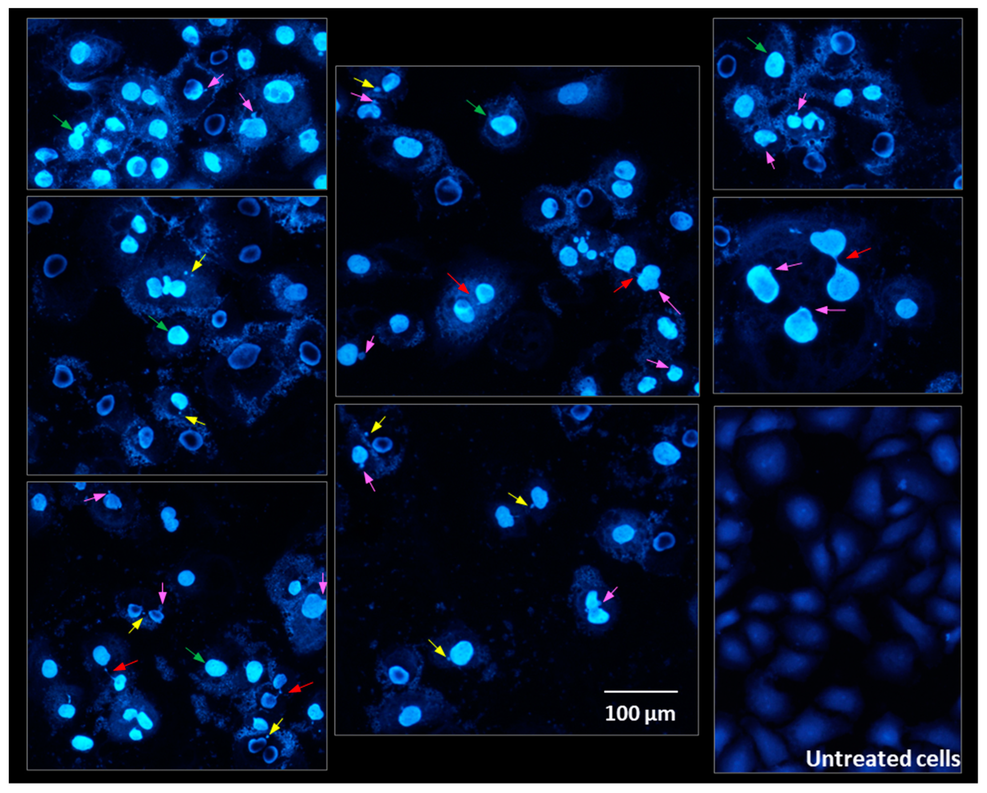 Molecules 28 05064 g014