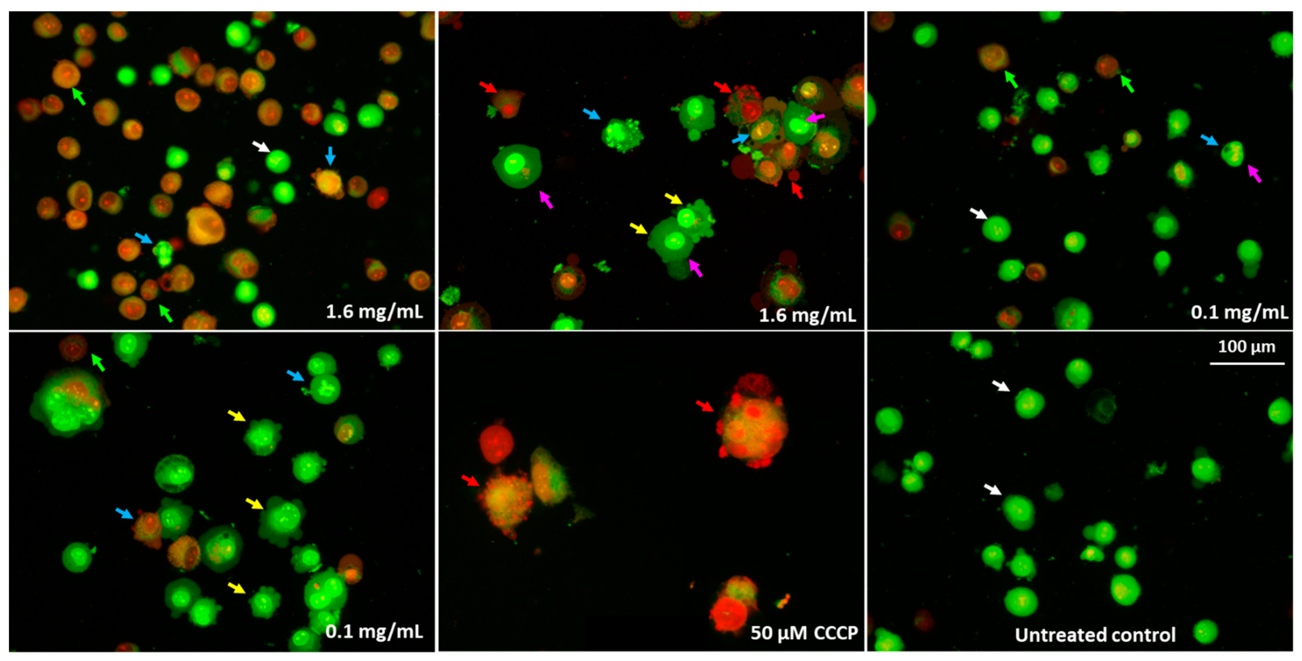 Molecules 28 05064 g015