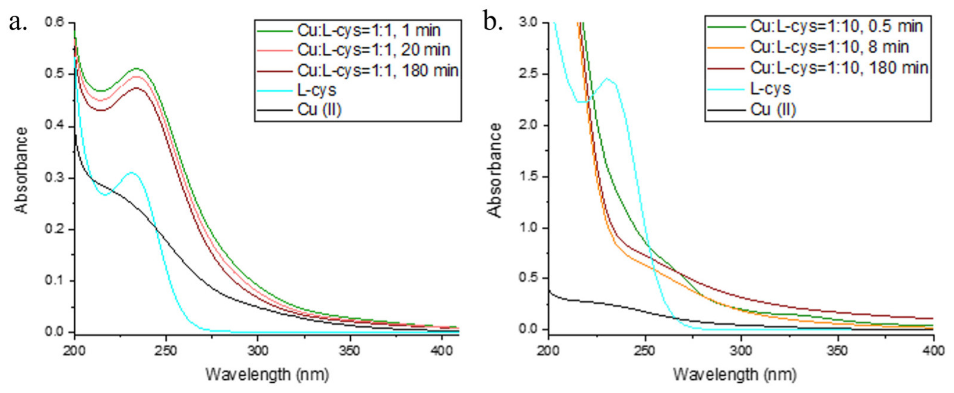 Molecules 28 05065 g004 Molecules 28 05065 g004