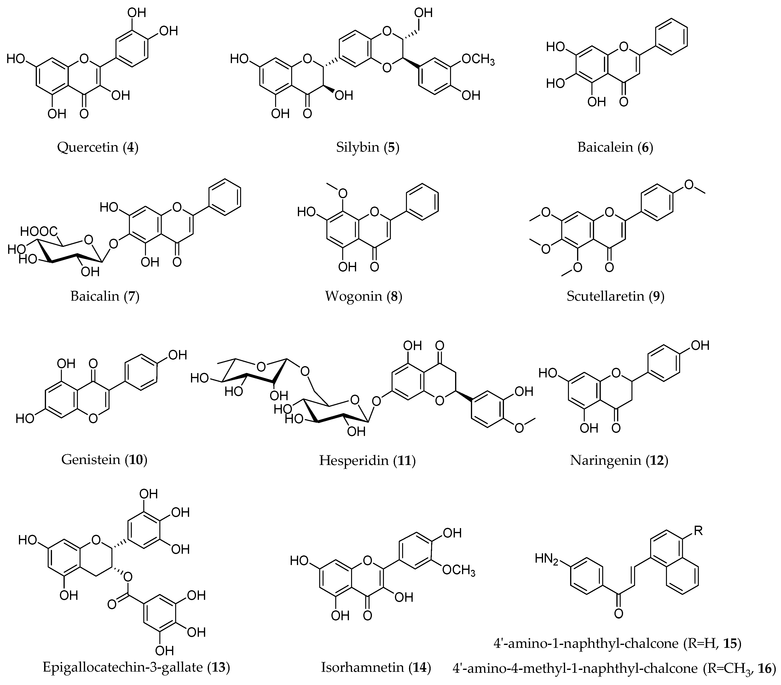 Molecules 28 05069 g004