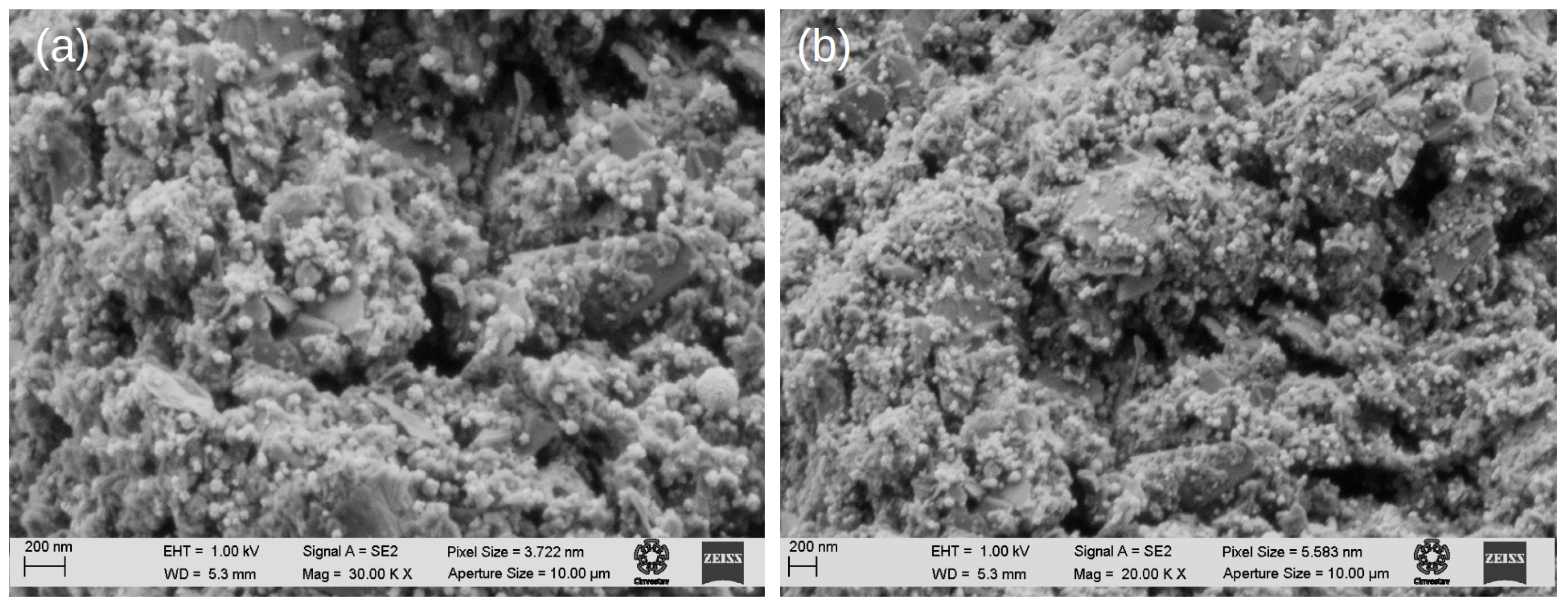 Molecules 28 05072 g006