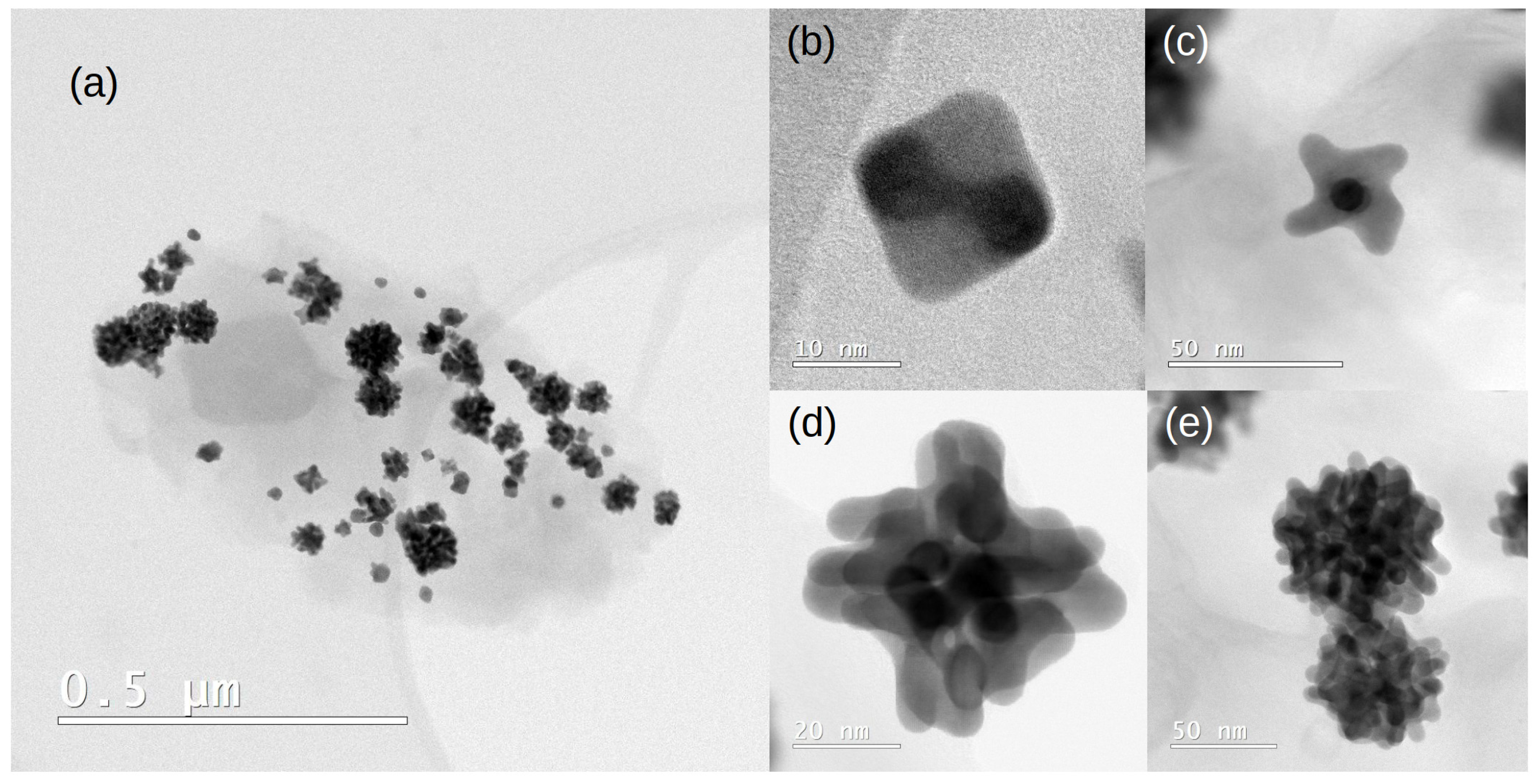Molecules 28 05072 g007