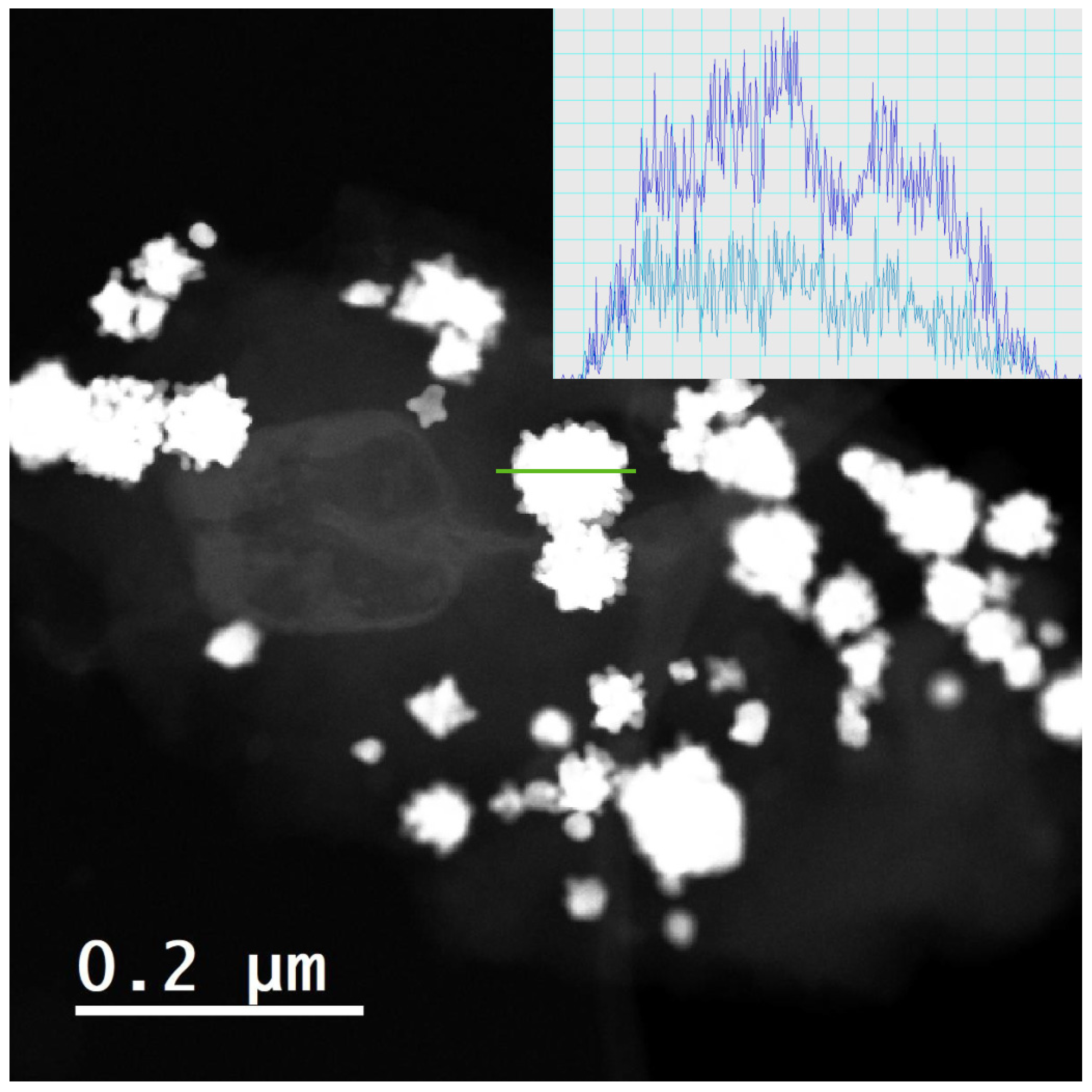 Molecules 28 05072 g008