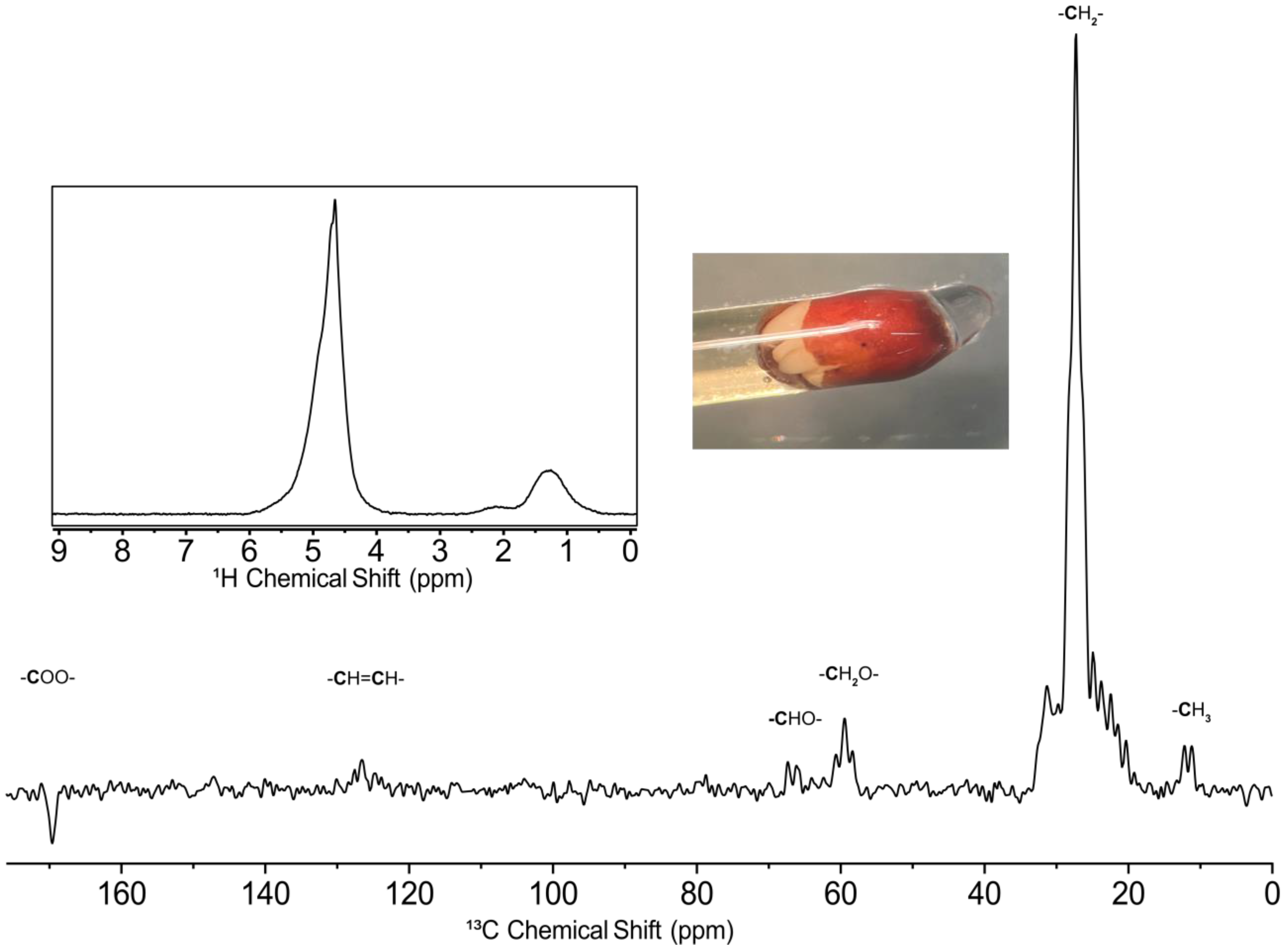 Molecules 28 05080 g001