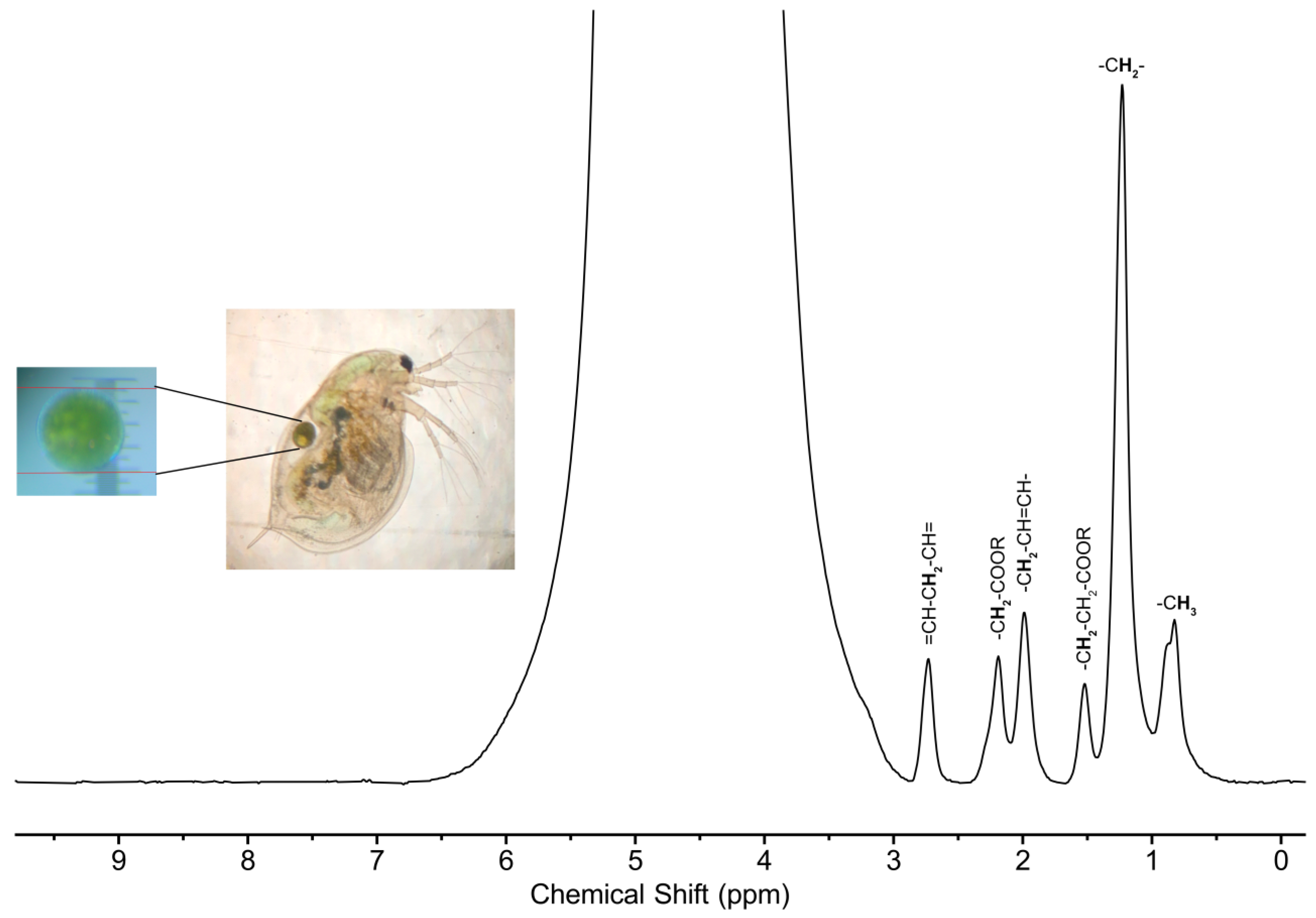 Molecules 28 05080 g003
