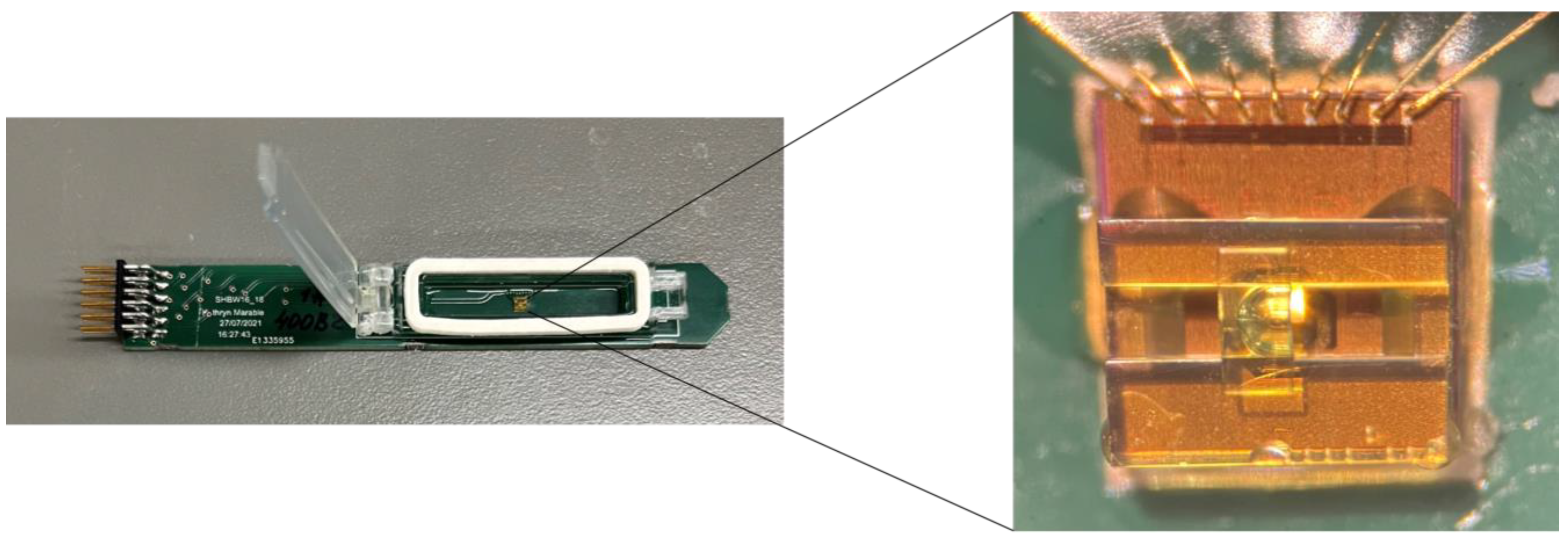 Molecules 28 05080 g006